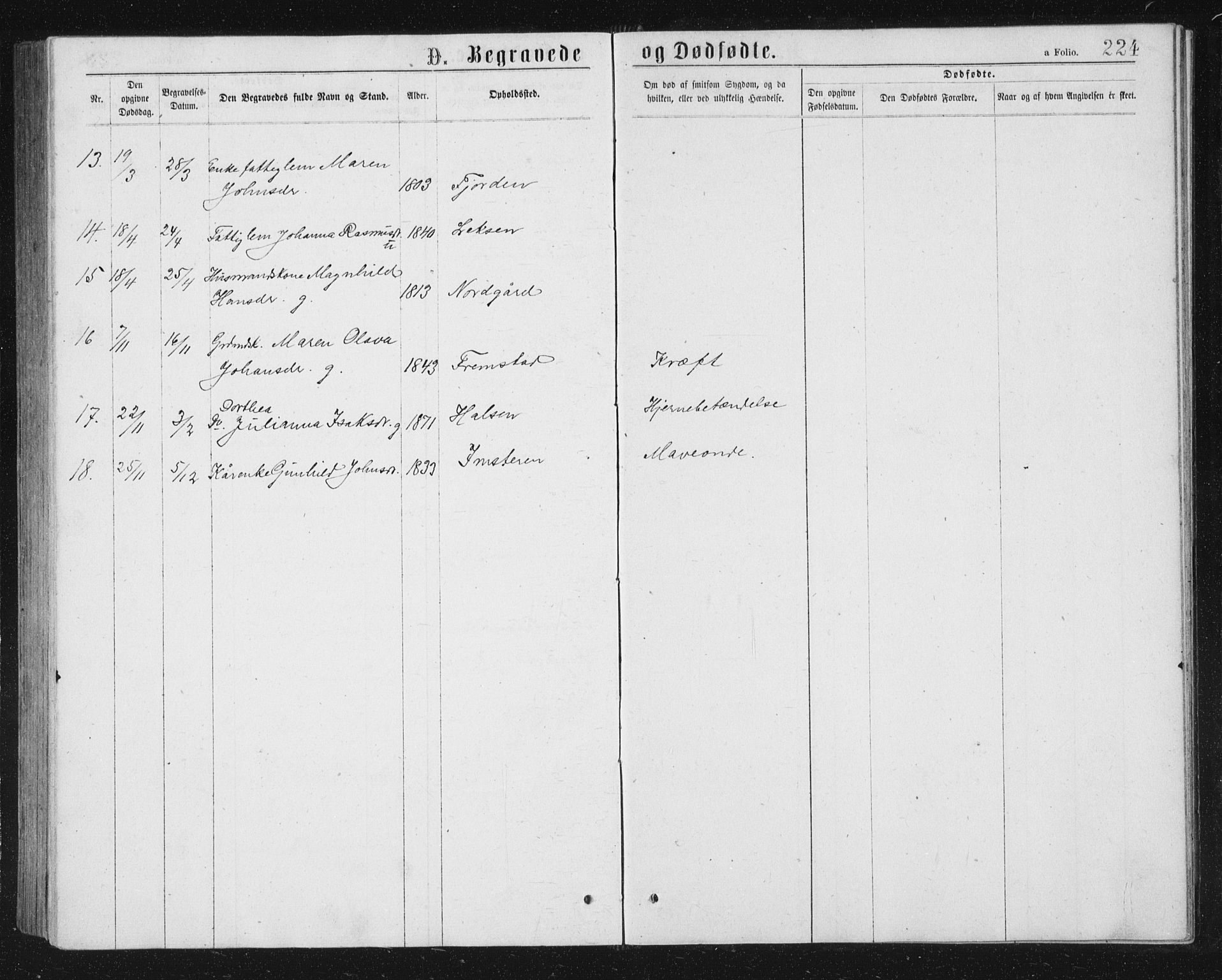 Ministerialprotokoller, klokkerbøker og fødselsregistre - Sør-Trøndelag, AV/SAT-A-1456/662/L0756: Parish register (copy) no. 662C01, 1869-1891, p. 224