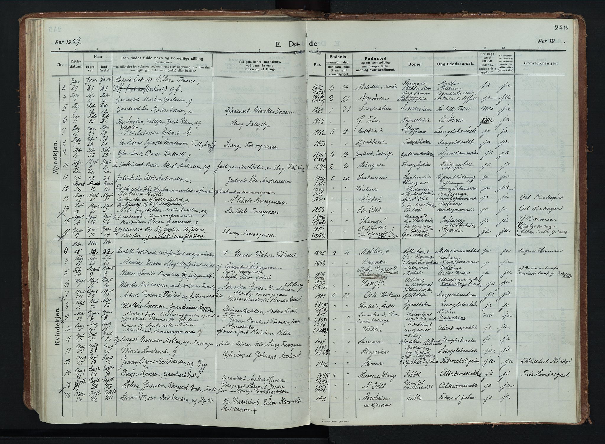 Stange prestekontor, AV/SAH-PREST-002/K/L0028: Parish register (official) no. 28, 1913-1932, p. 246