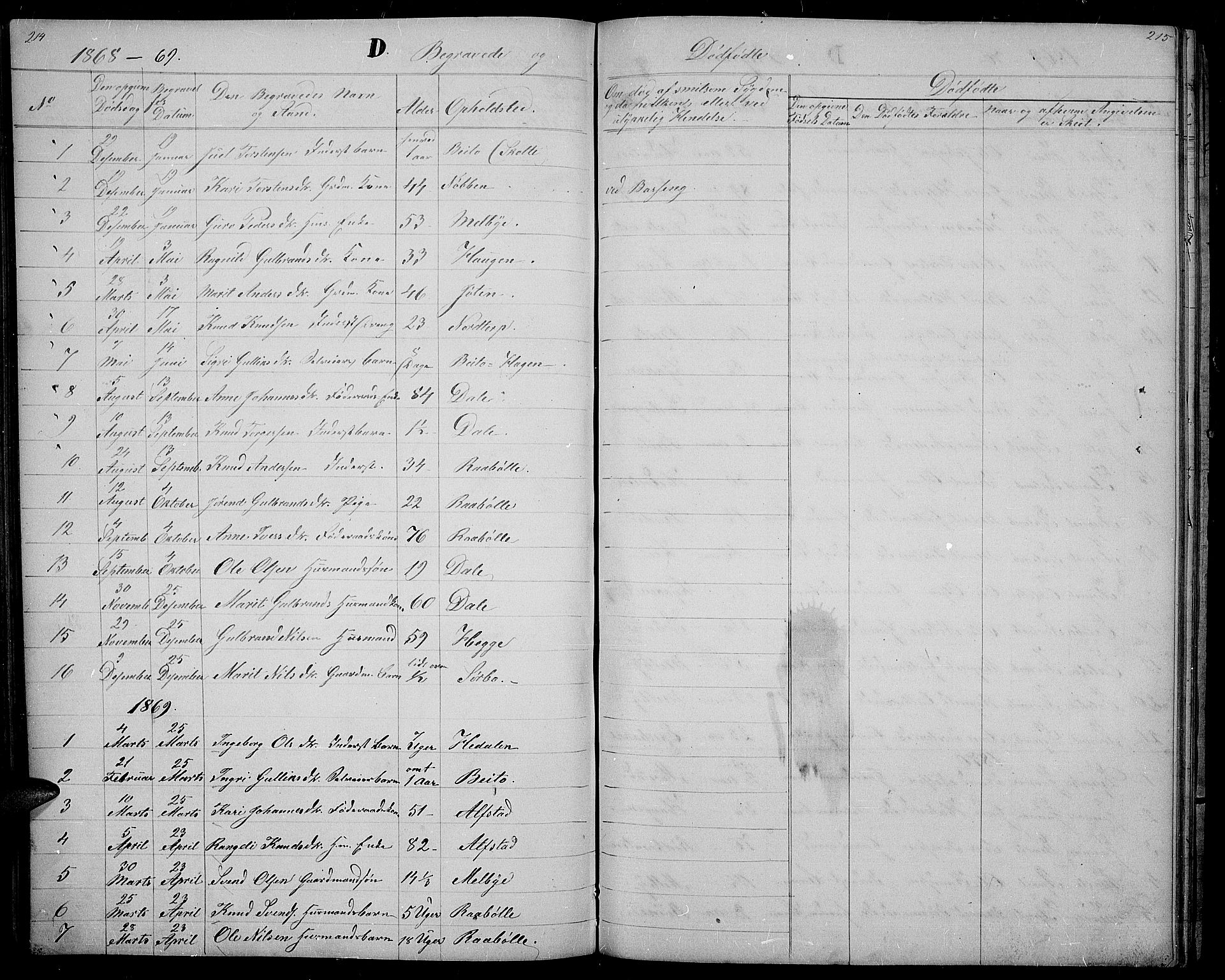 Øystre Slidre prestekontor, SAH/PREST-138/H/Ha/Hab/L0001: Parish register (copy) no. 1, 1866-1886, p. 214-215