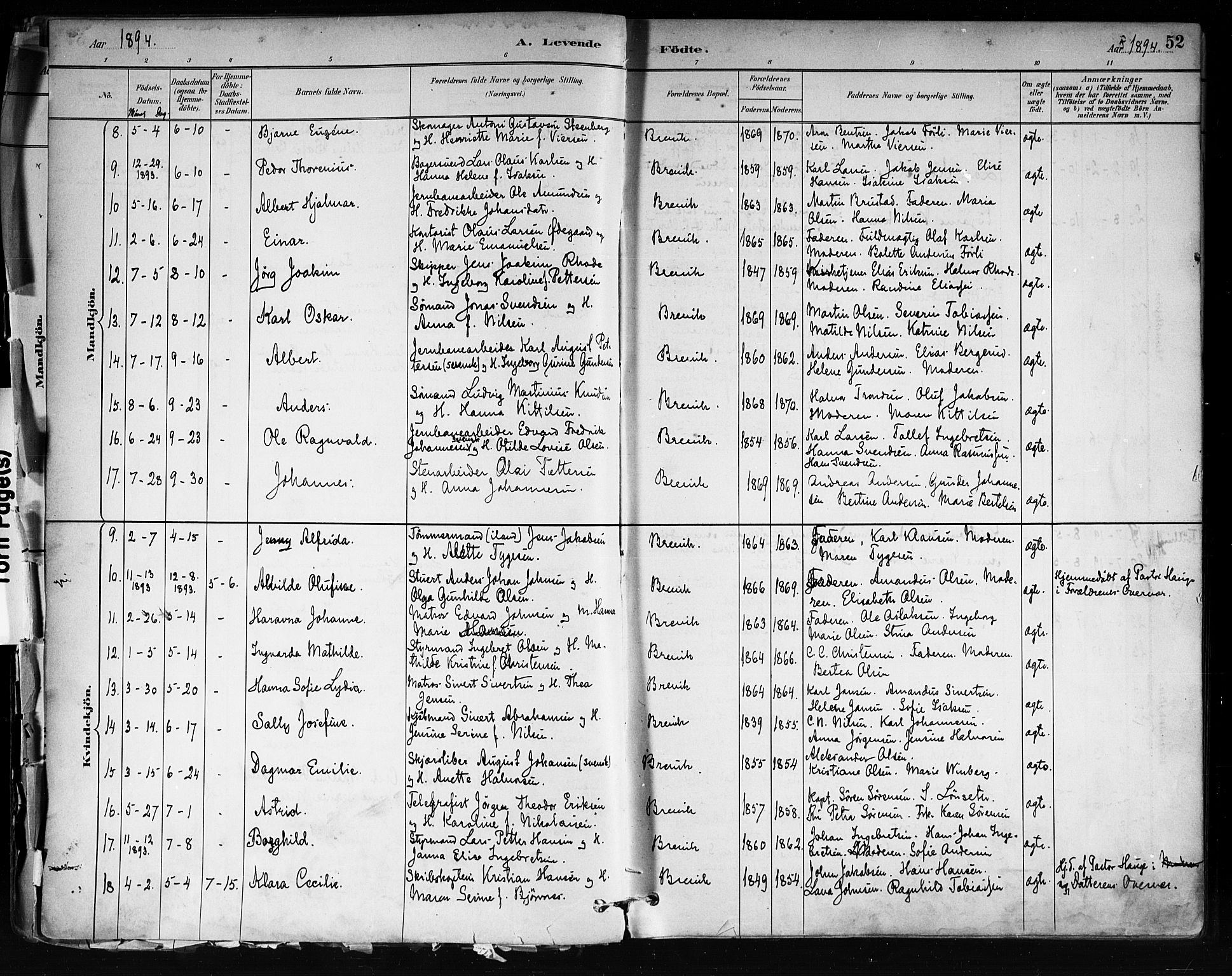 Brevik kirkebøker, SAKO/A-255/F/Fa/L0007: Parish register (official) no. 7, 1882-1900, p. 52