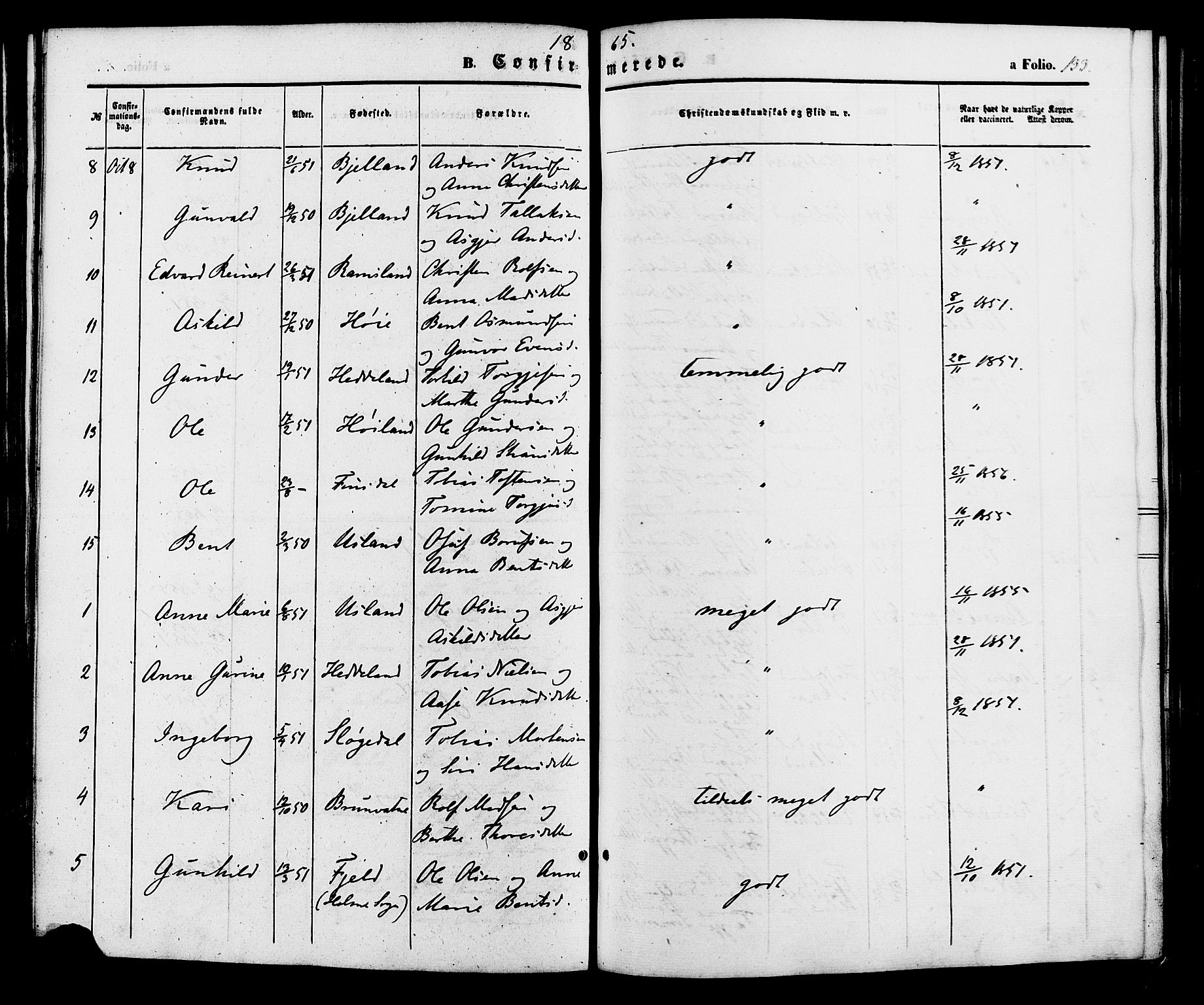 Holum sokneprestkontor, AV/SAK-1111-0022/F/Fa/Fac/L0003: Parish register (official) no. A 3, 1860-1883, p. 133