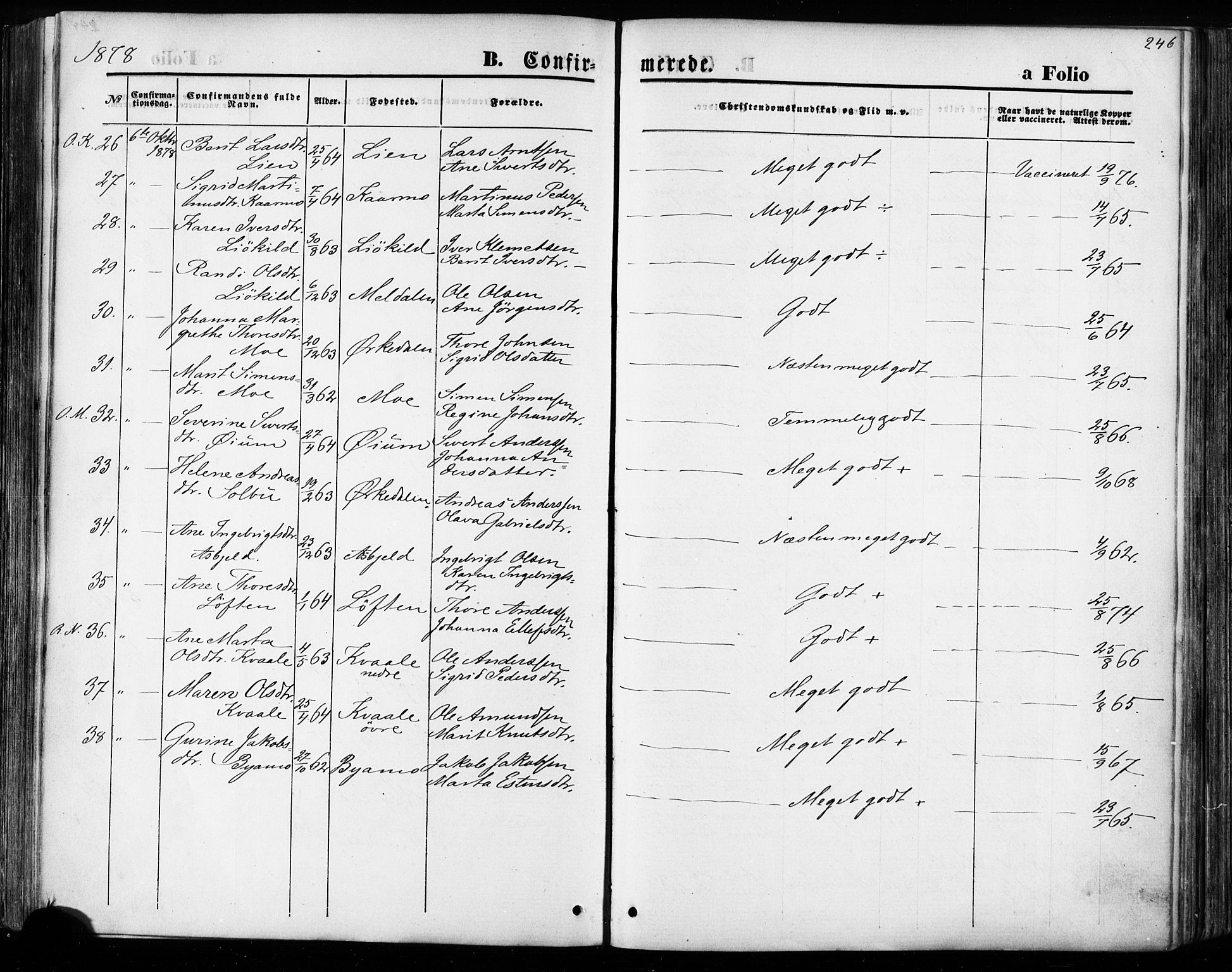 Ministerialprotokoller, klokkerbøker og fødselsregistre - Sør-Trøndelag, AV/SAT-A-1456/668/L0807: Parish register (official) no. 668A07, 1870-1880, p. 246