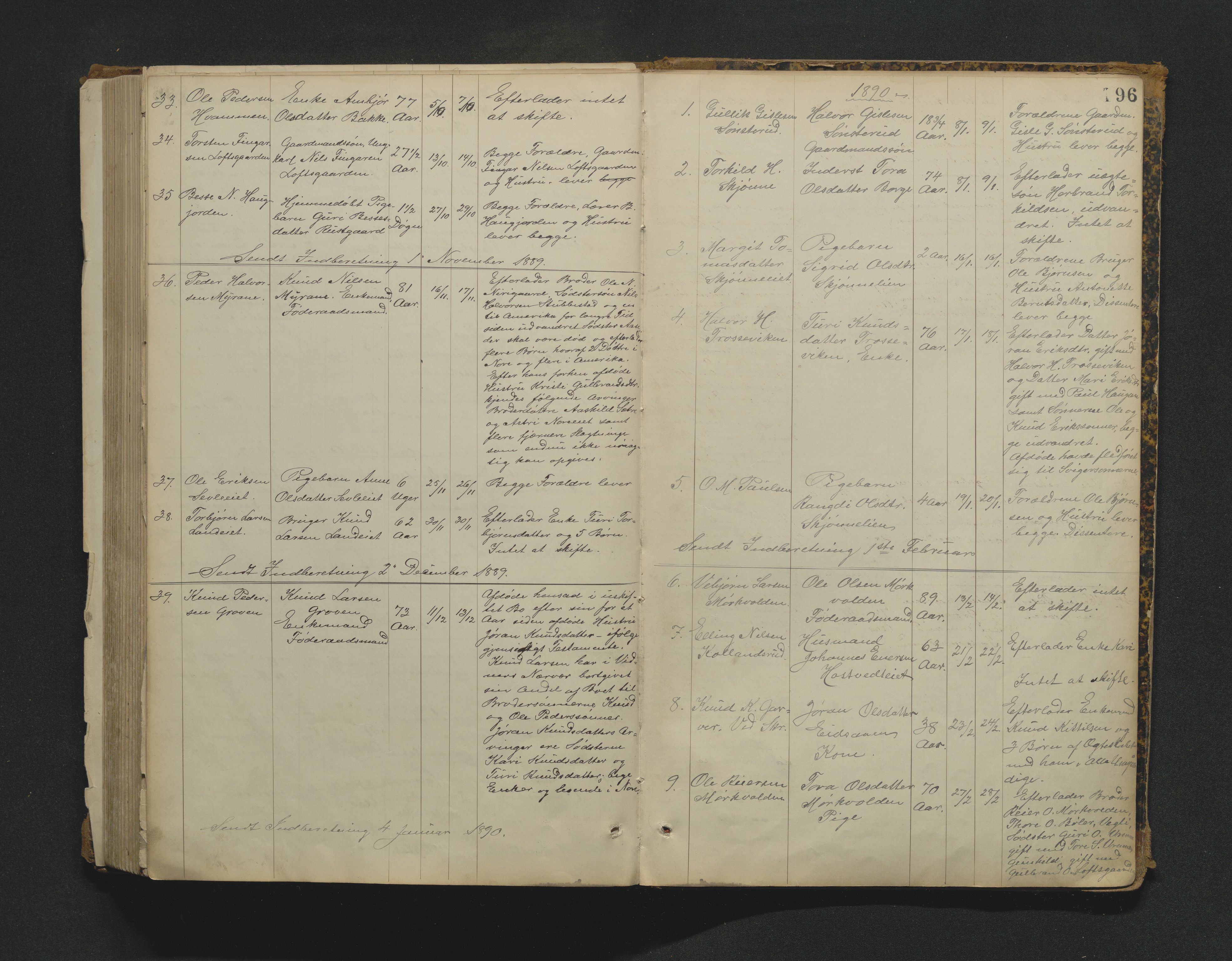 Nore lensmannskontor, AV/SAKO-A-520/H/Ha/L0001a: Registrerings- og dødsanmeldelsesprotokoll, 1882-1913, p. 196