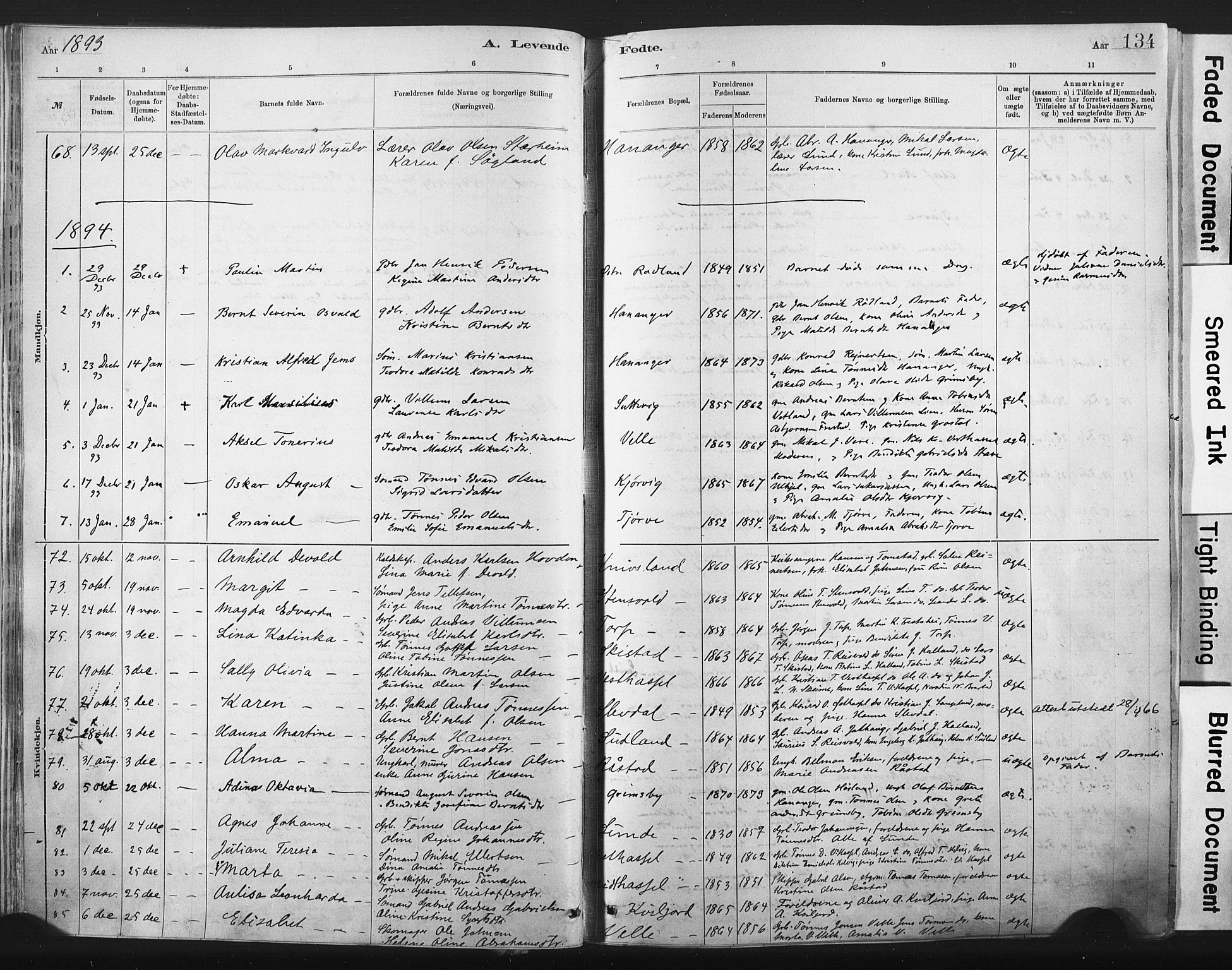 Lista sokneprestkontor, SAK/1111-0027/F/Fa/L0012: Parish register (official) no. A 12, 1879-1903, p. 134
