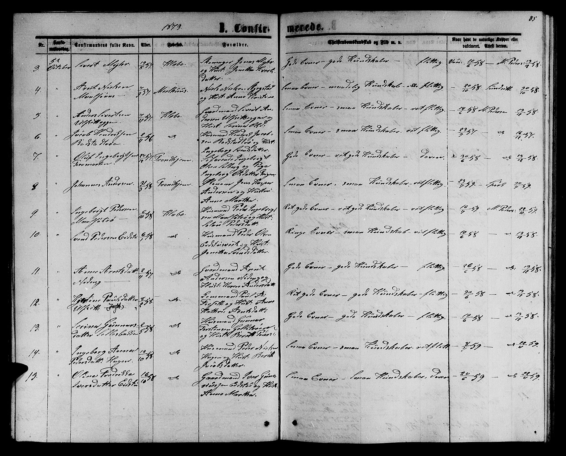Ministerialprotokoller, klokkerbøker og fødselsregistre - Sør-Trøndelag, SAT/A-1456/618/L0451: Parish register (copy) no. 618C02, 1865-1883, p. 85