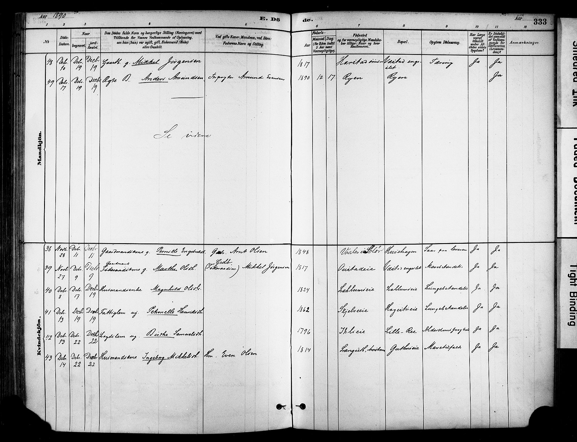 Stange prestekontor, AV/SAH-PREST-002/K/L0017: Parish register (official) no. 17, 1880-1893, p. 333