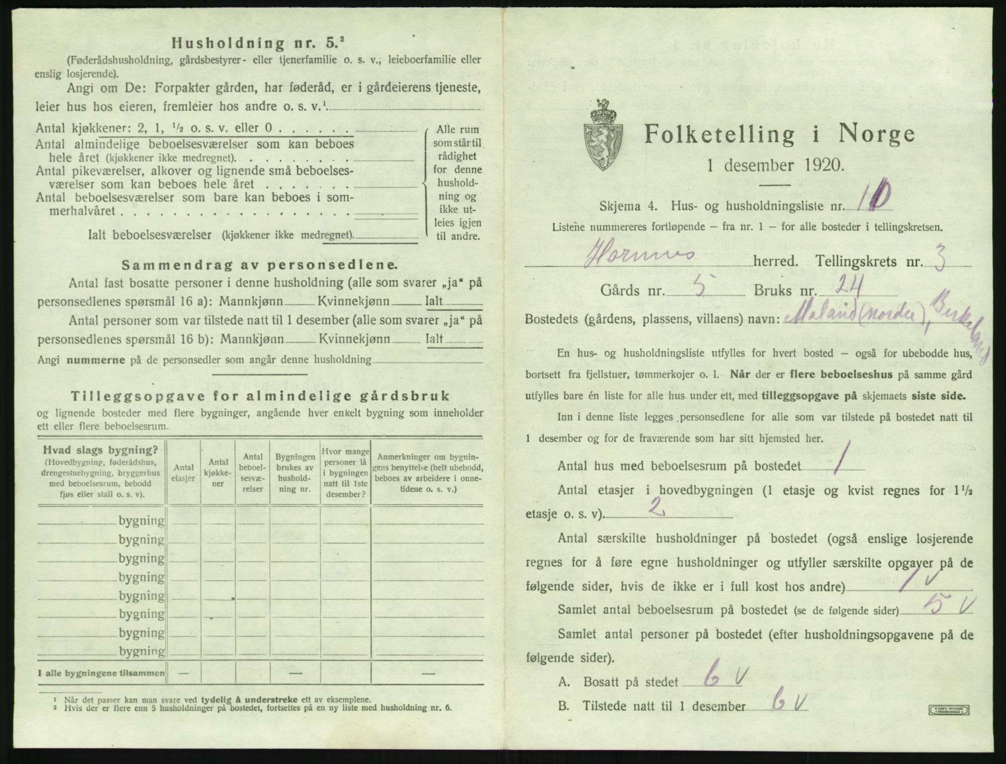 SAK, 1920 census for Hornnes, 1920, p. 135