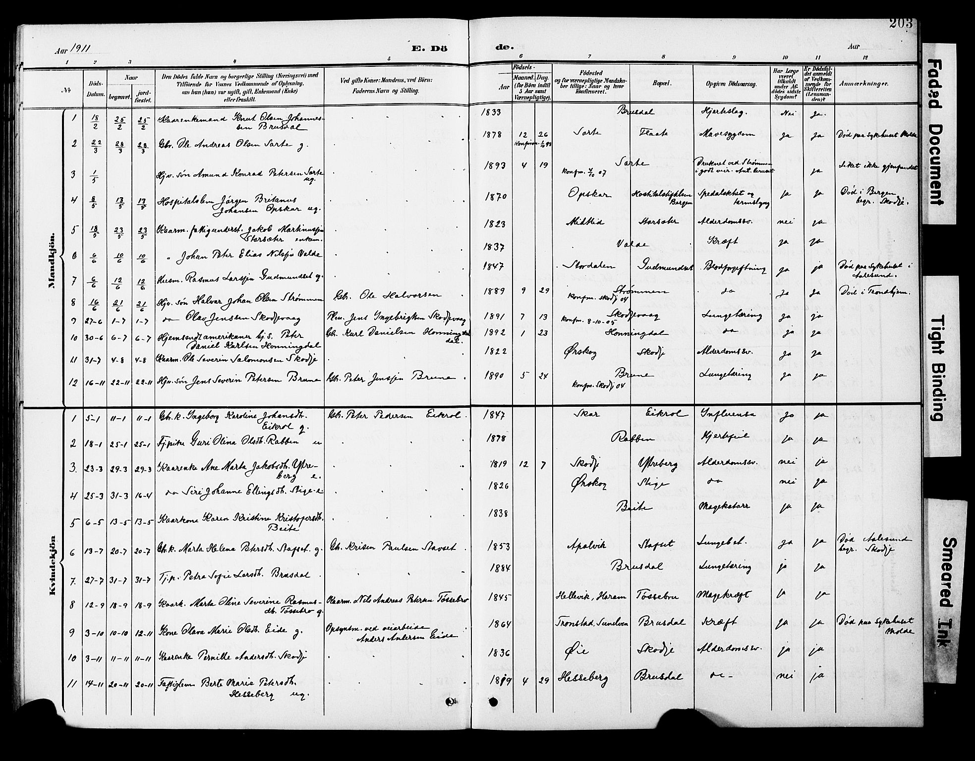 Ministerialprotokoller, klokkerbøker og fødselsregistre - Møre og Romsdal, SAT/A-1454/524/L0366: Parish register (copy) no. 524C07, 1900-1931, p. 203