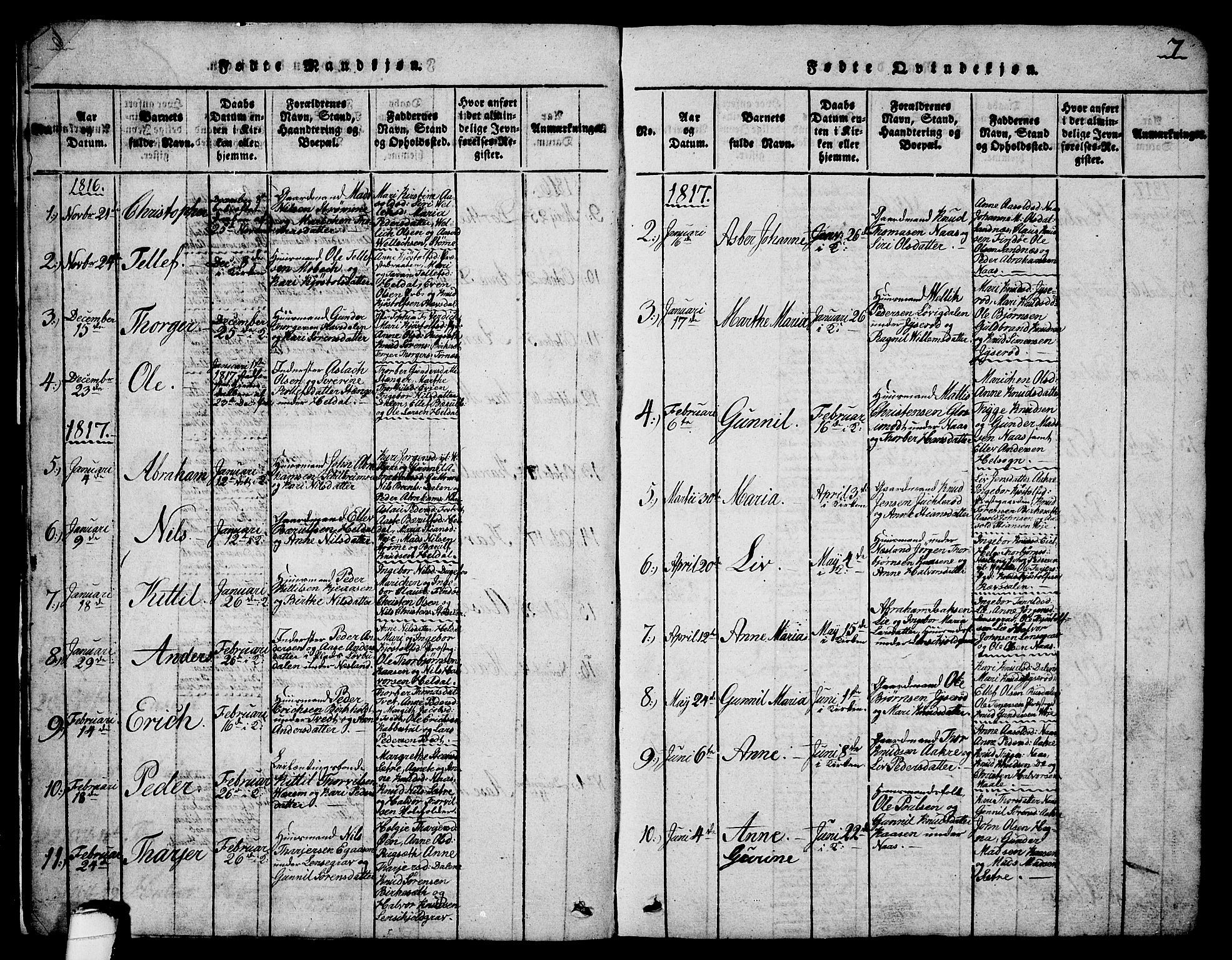 Drangedal kirkebøker, SAKO/A-258/G/Ga/L0001: Parish register (copy) no. I 1 /1, 1814-1856, p. 7