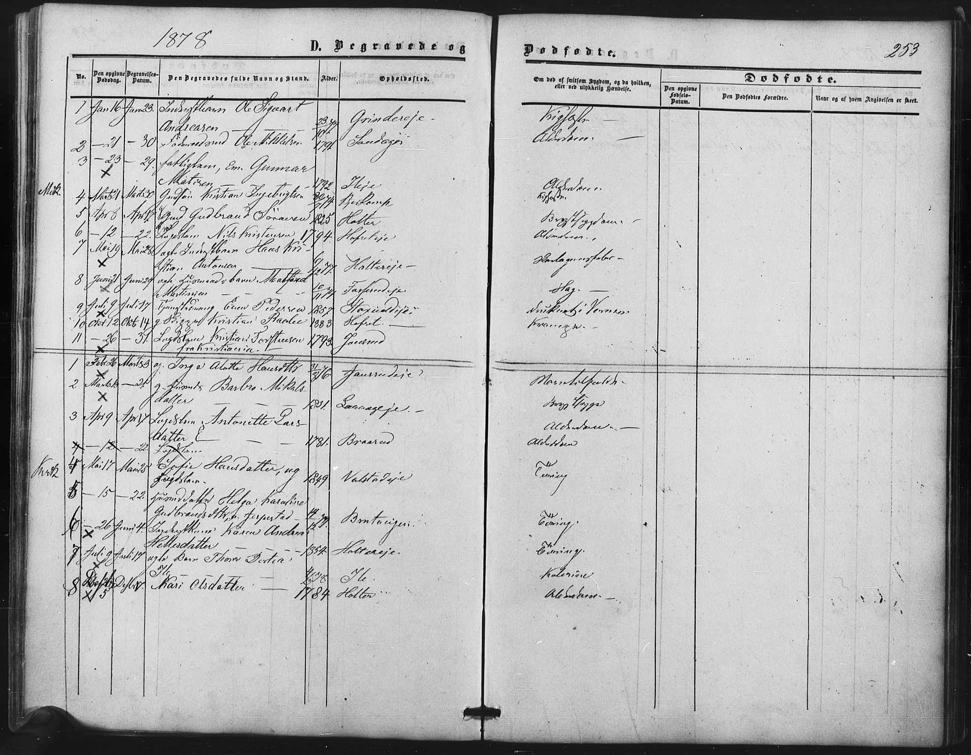 Nes prestekontor Kirkebøker, SAO/A-10410/F/Fb/L0001: Parish register (official) no. II 1, 1859-1882, p. 253