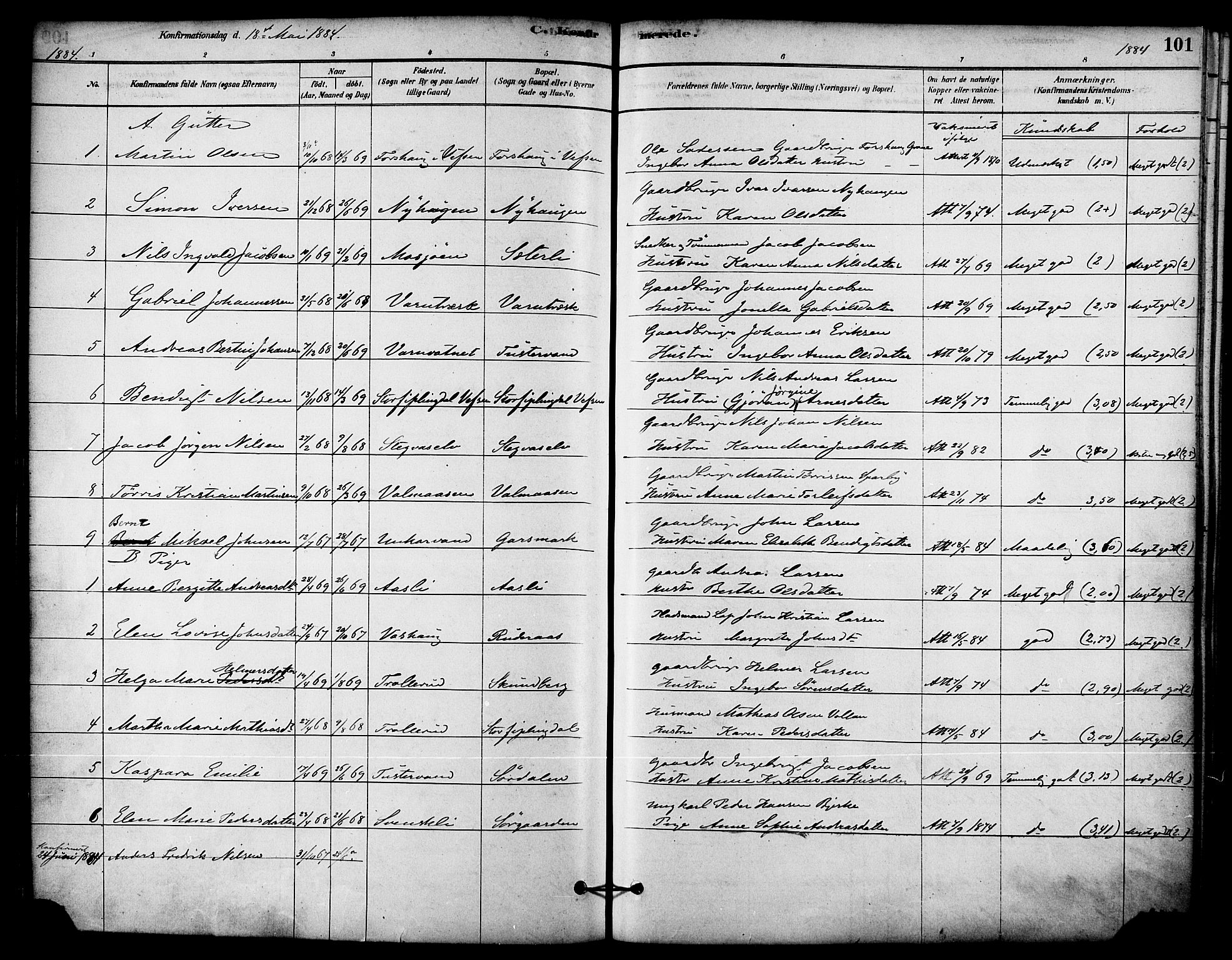 Ministerialprotokoller, klokkerbøker og fødselsregistre - Nordland, AV/SAT-A-1459/823/L0325: Parish register (official) no. 823A02, 1878-1898, p. 101