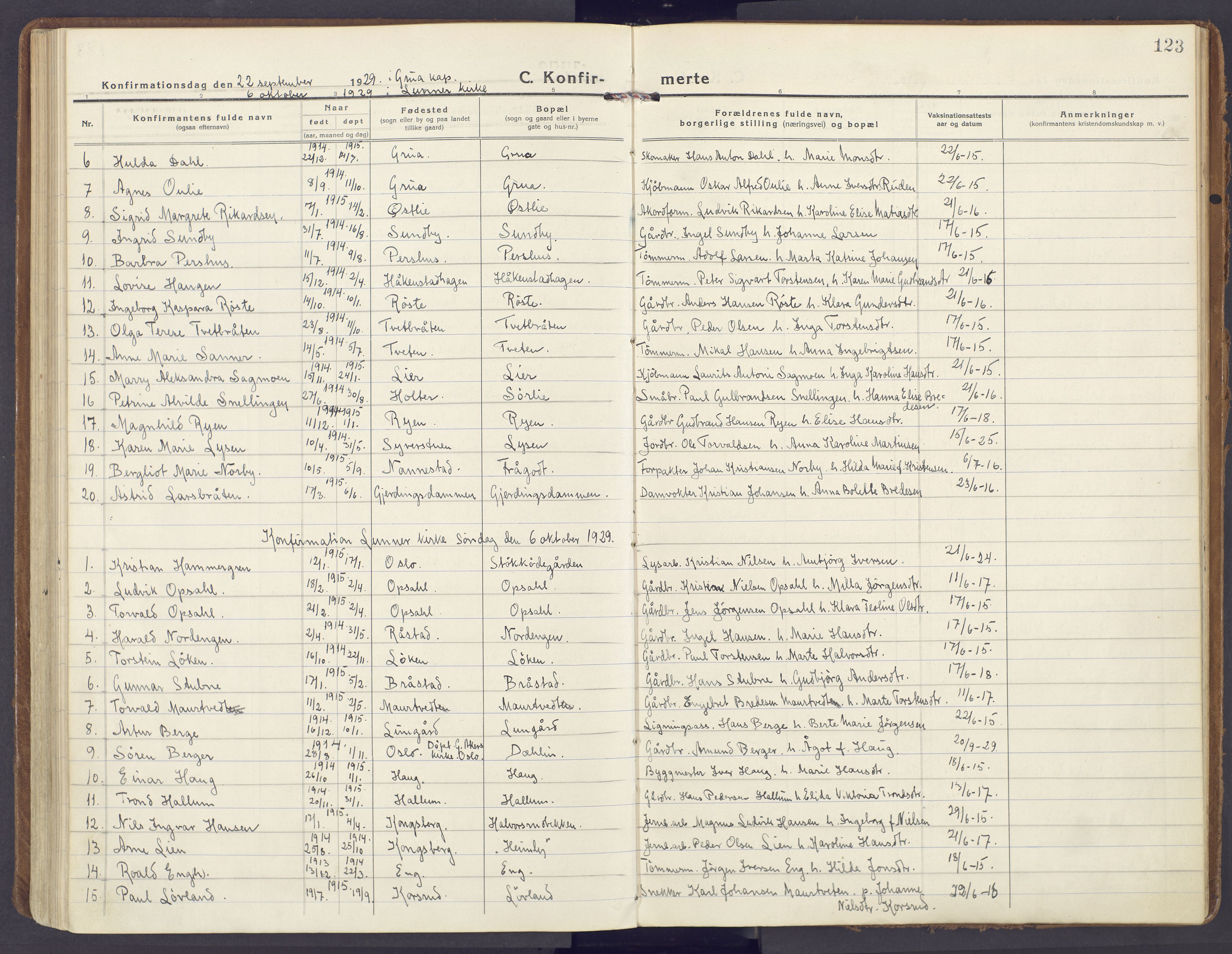 Lunner prestekontor, SAH/PREST-118/H/Ha/Haa/L0002: Parish register (official) no. 2, 1922-1931, p. 123