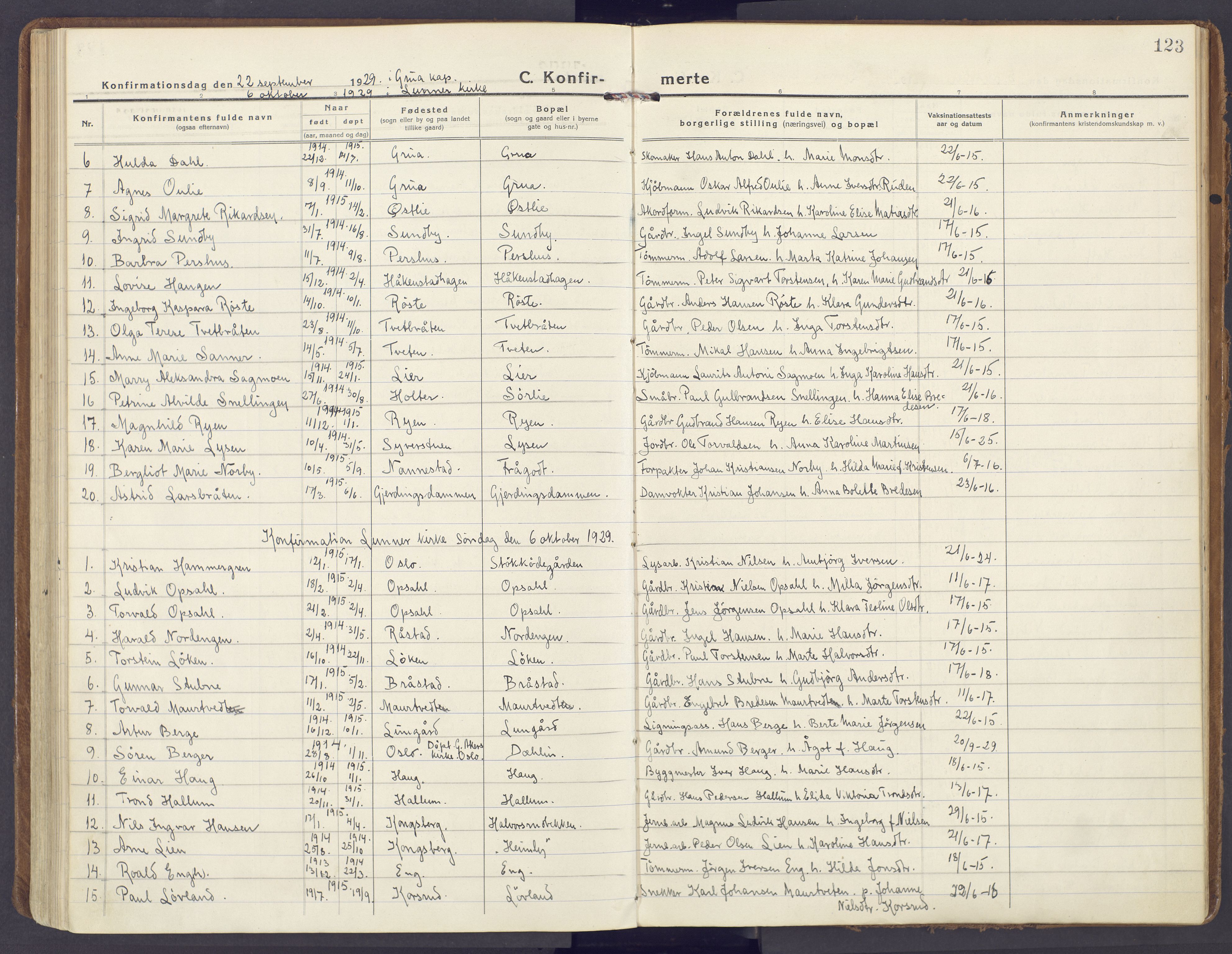 Lunner prestekontor, AV/SAH-PREST-118/H/Ha/Haa/L0002: Parish register (official) no. 2, 1922-1931, p. 123