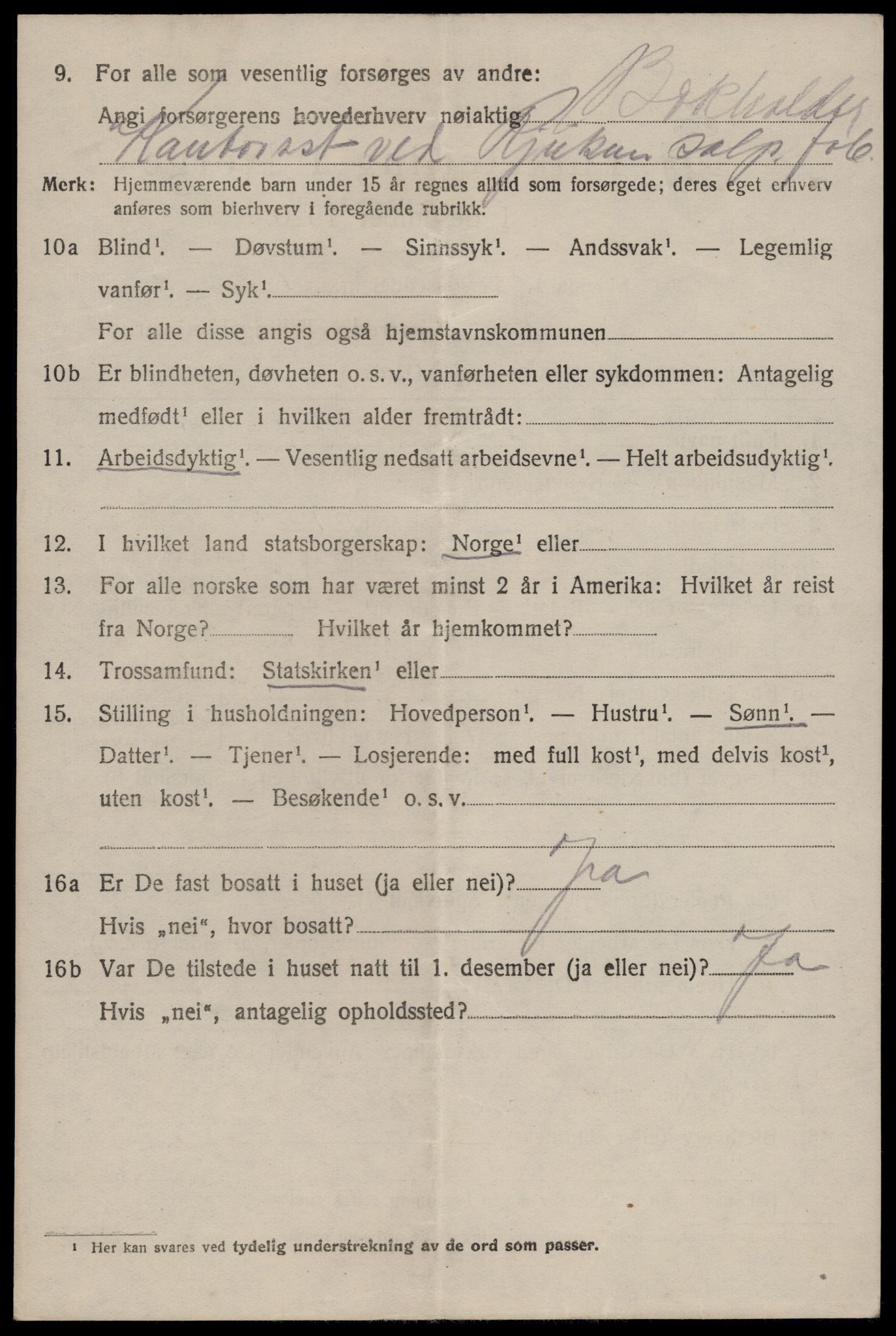 SAKO, 1920 census for Tinn, 1920, p. 19387