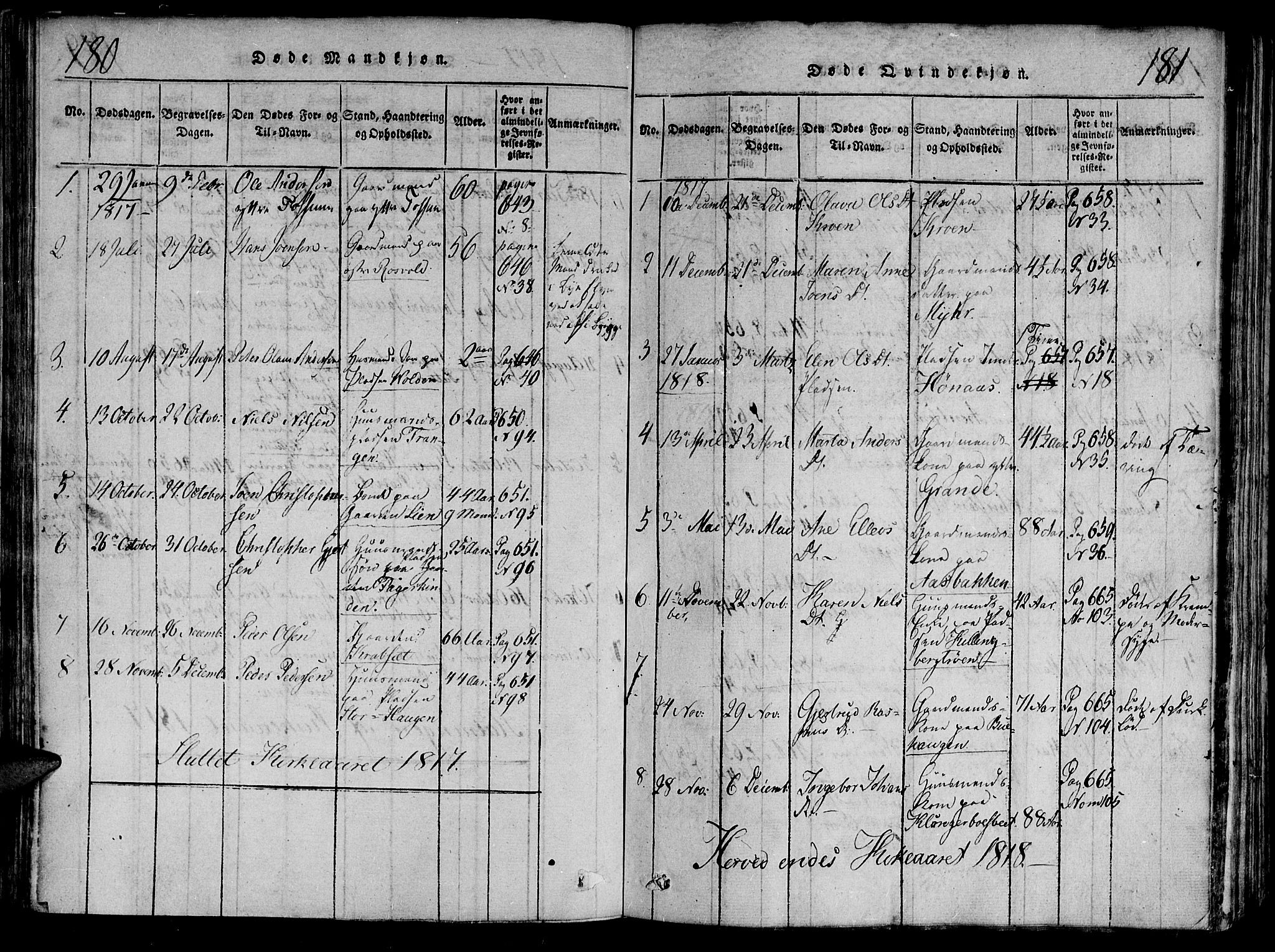 Ministerialprotokoller, klokkerbøker og fødselsregistre - Nord-Trøndelag, AV/SAT-A-1458/701/L0005: Parish register (official) no. 701A05 /1, 1816-1825, p. 180-181