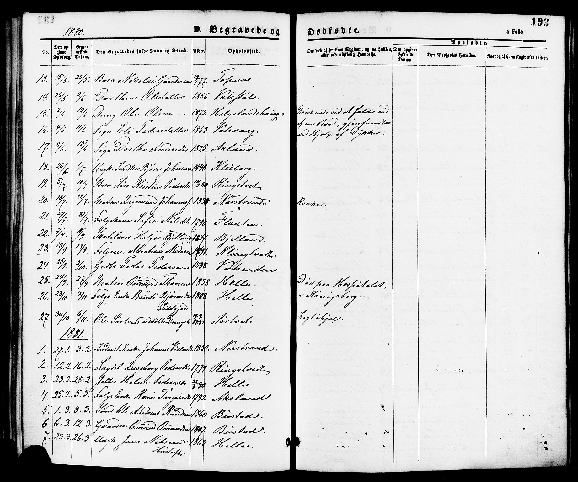 Nedstrand sokneprestkontor, SAST/A-101841/01/IV: Parish register (official) no. A 11, 1877-1887, p. 193