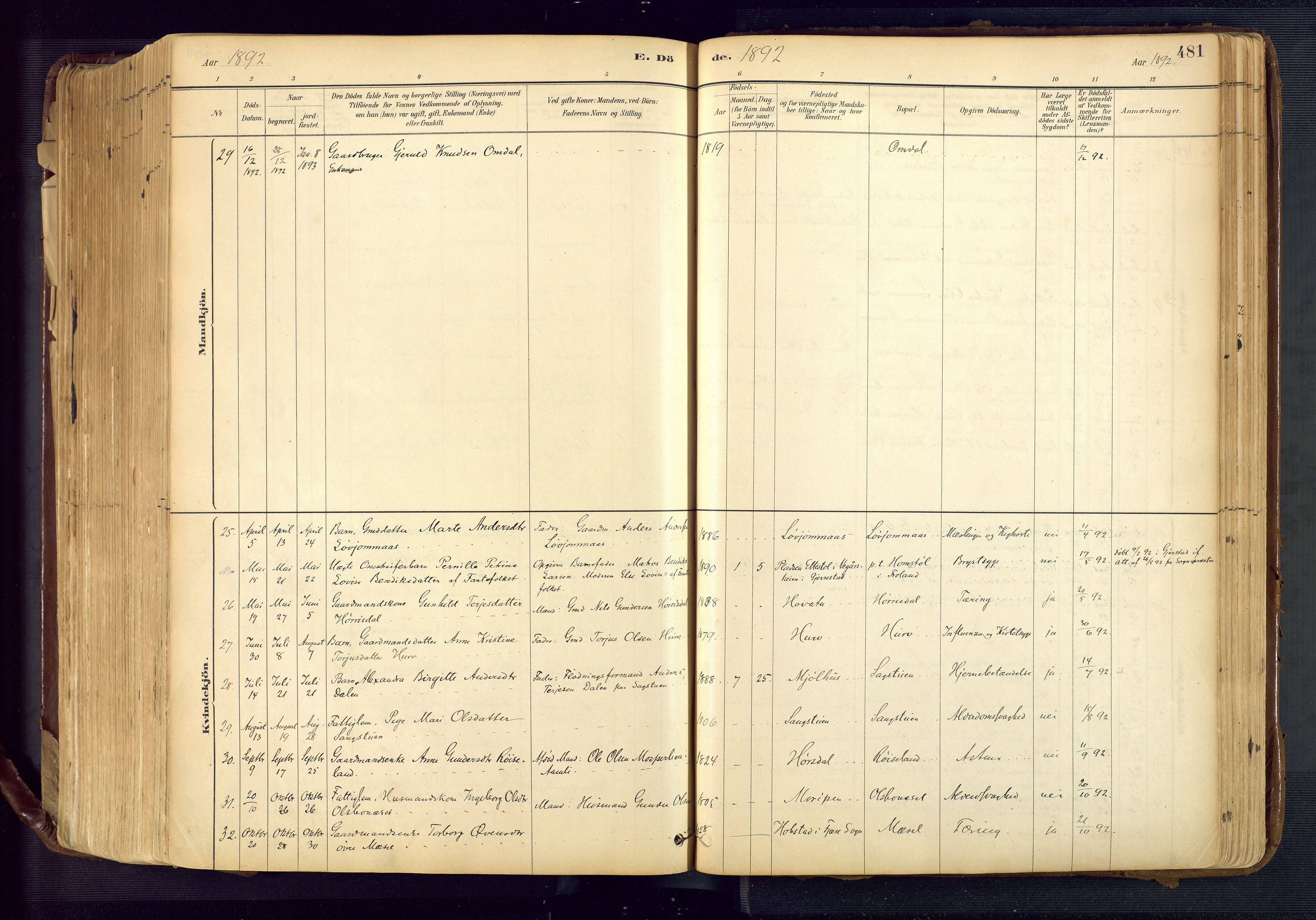 Froland sokneprestkontor, SAK/1111-0013/F/Fa/L0005: Parish register (official) no. A 5, 1882-1921, p. 481