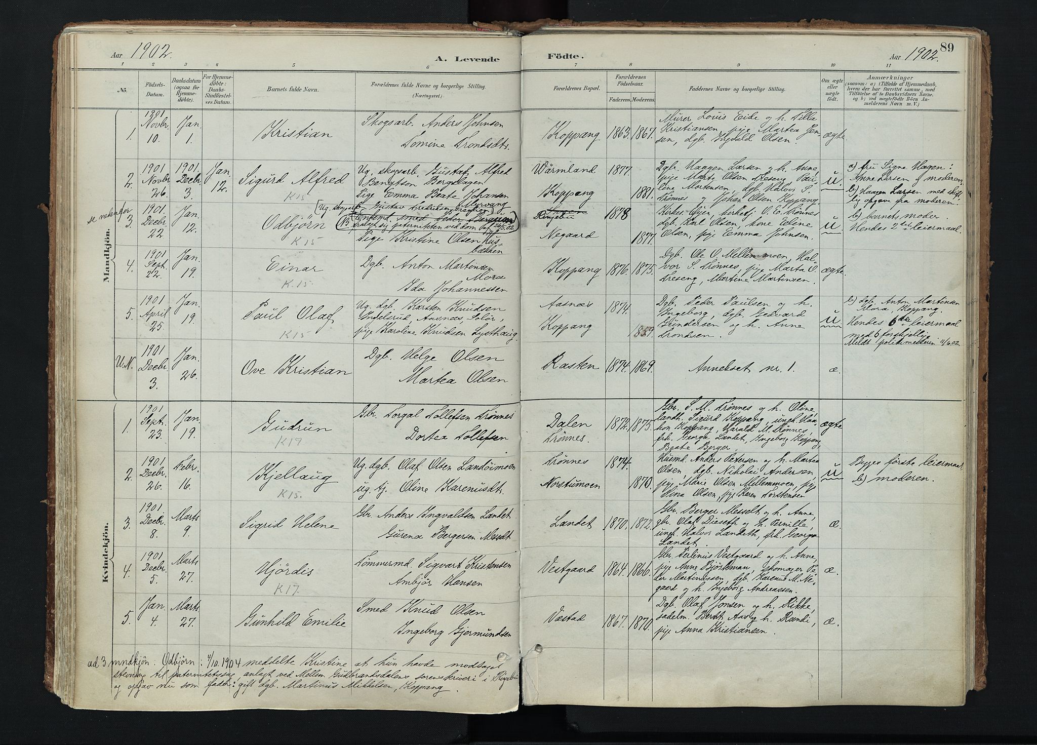 Stor-Elvdal prestekontor, SAH/PREST-052/H/Ha/Haa/L0004: Parish register (official) no. 4, 1890-1922, p. 89