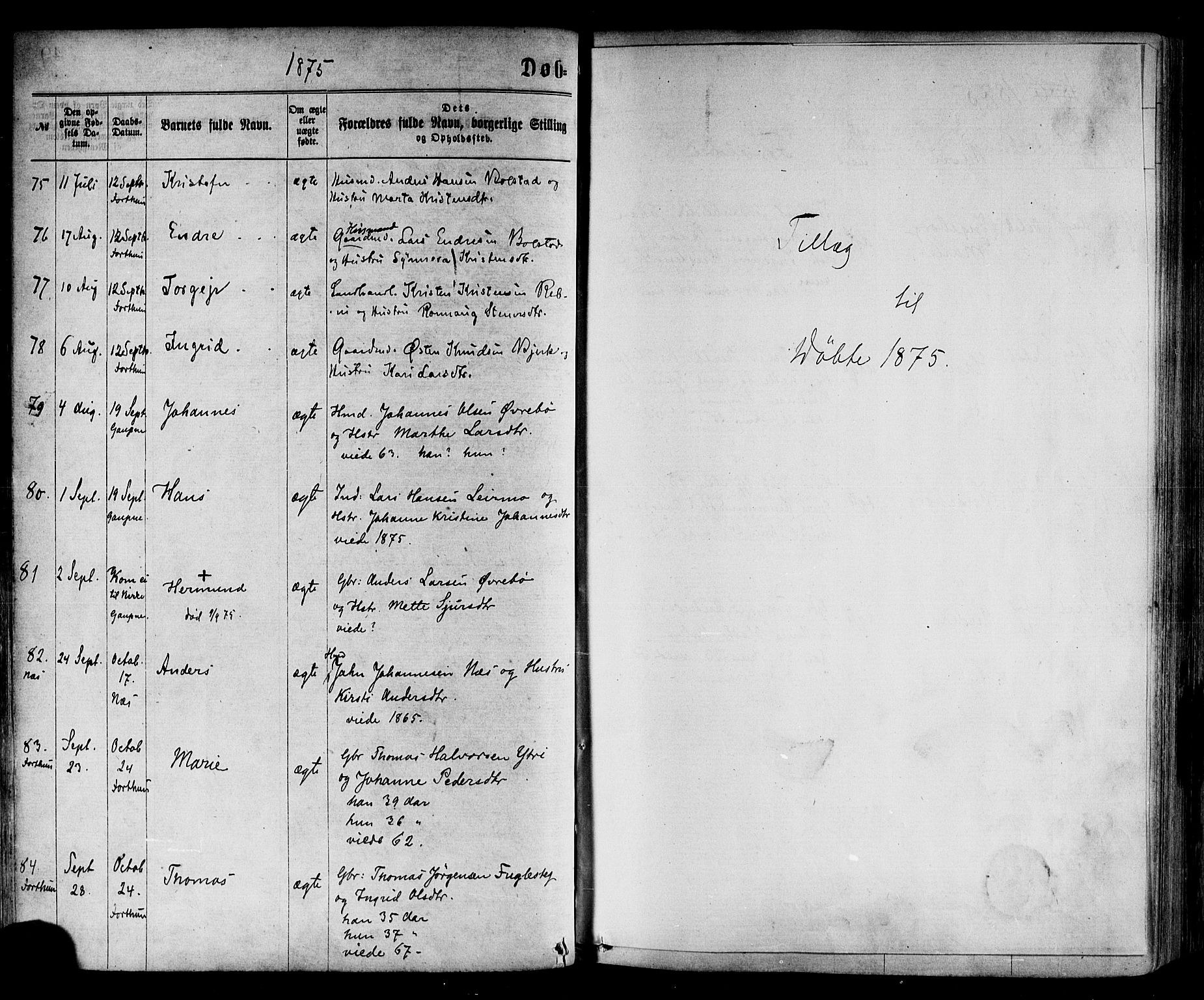 Luster sokneprestembete, AV/SAB-A-81101/H/Haa/Haaa/L0010: Parish register (official) no. A 10, 1871-1886, p. 50