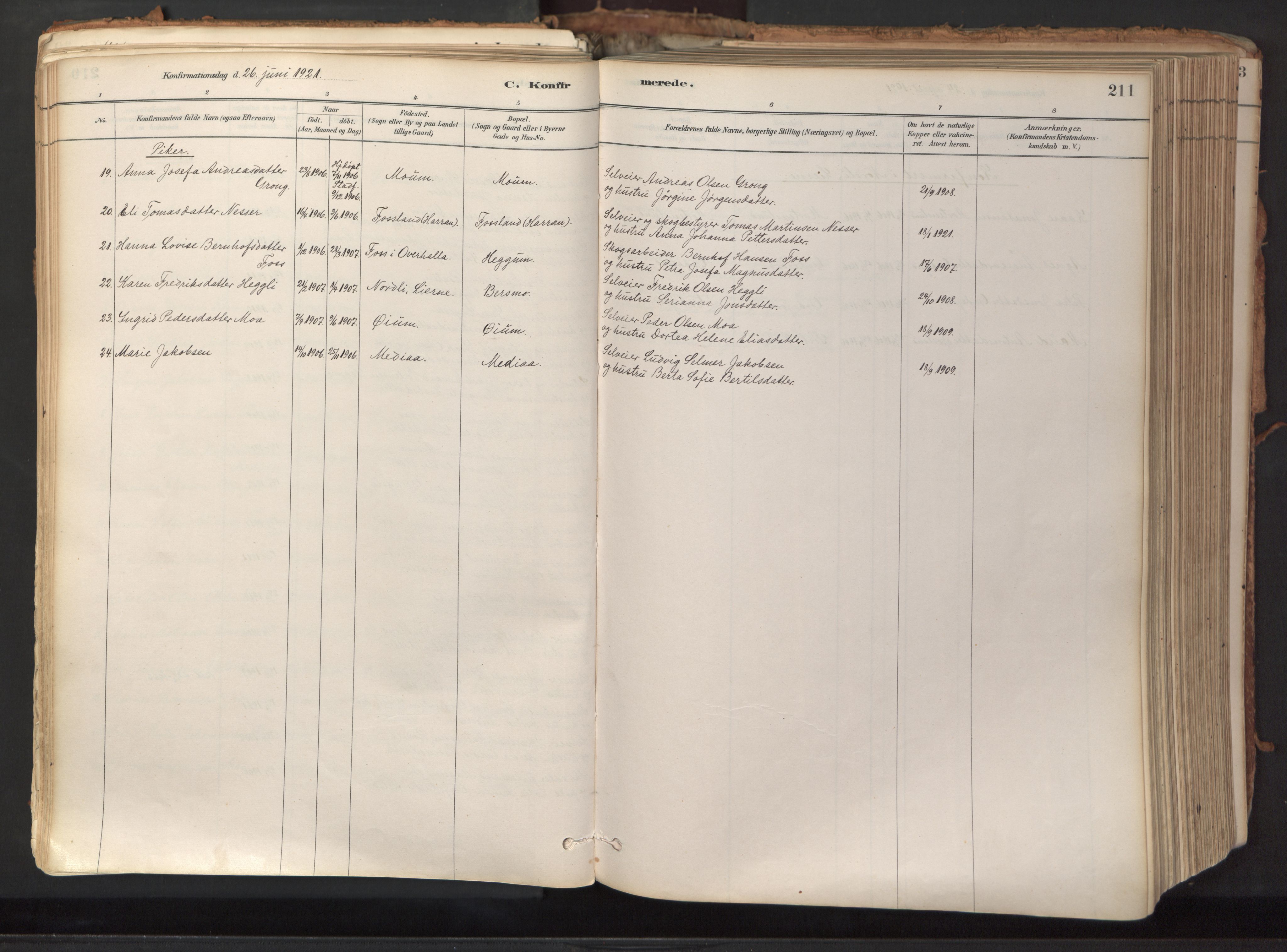Ministerialprotokoller, klokkerbøker og fødselsregistre - Nord-Trøndelag, SAT/A-1458/758/L0519: Parish register (official) no. 758A04, 1880-1926, p. 211