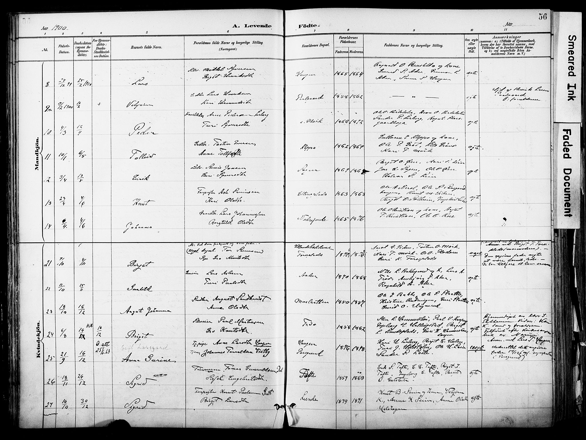 Hol kirkebøker, SAKO/A-227/F/Fa/L0003: Parish register (official) no. I 3, 1887-1918, p. 56
