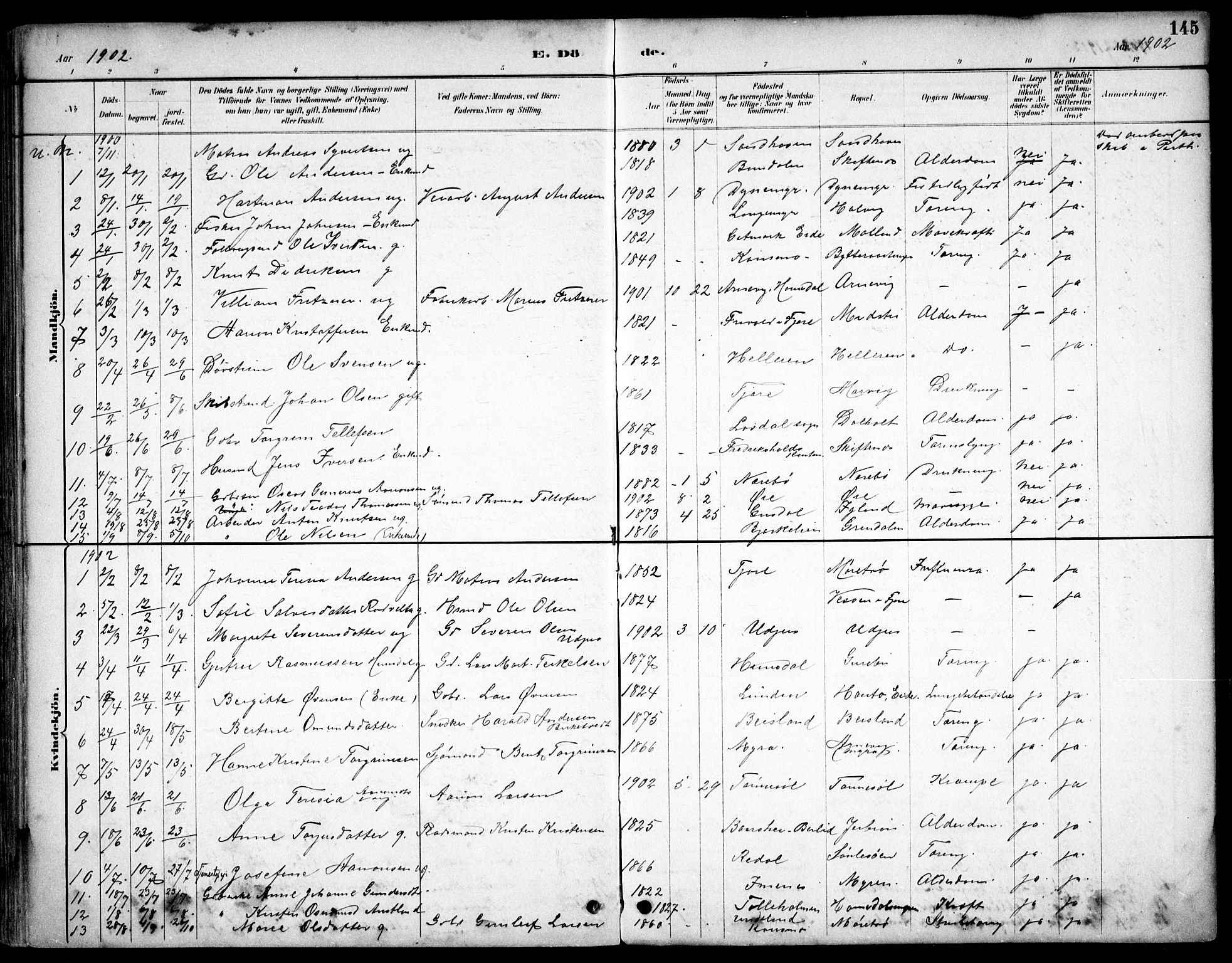 Hommedal sokneprestkontor, SAK/1111-0023/F/Fb/Fbb/L0007: Parish register (copy) no. B 7, 1885-1904, p. 145
