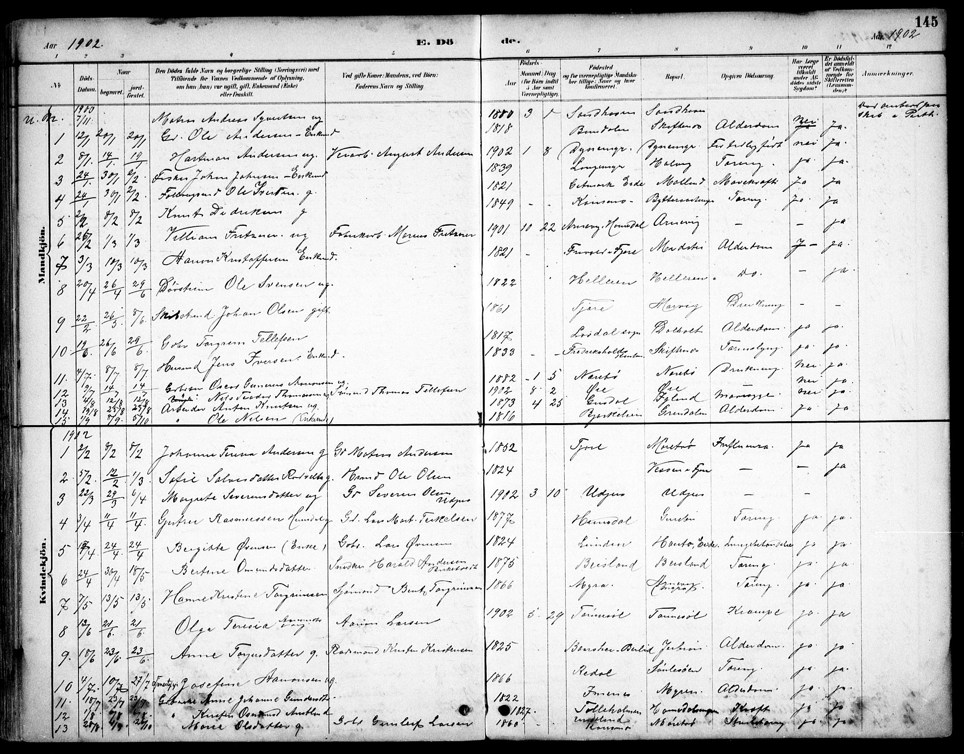 Hommedal sokneprestkontor, AV/SAK-1111-0023/F/Fb/Fbb/L0007: Parish register (copy) no. B 7, 1885-1904, p. 145