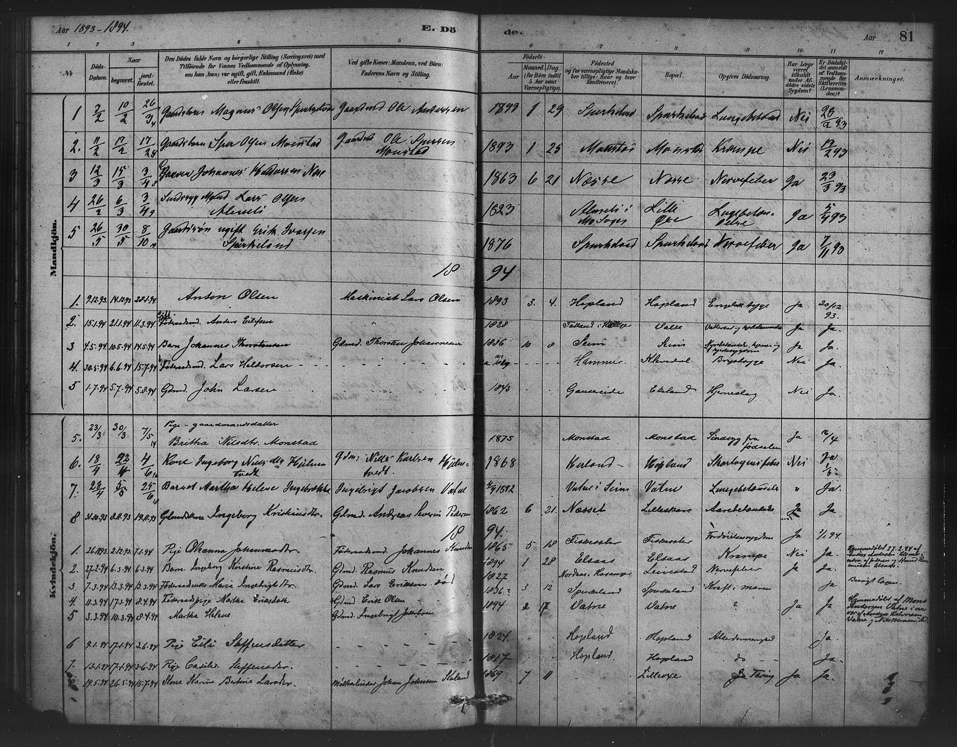 Alversund Sokneprestembete, AV/SAB-A-73901/H/Ha/Haa/Haad/L0001: Parish register (official) no. D 1, 1880-1898, p. 81