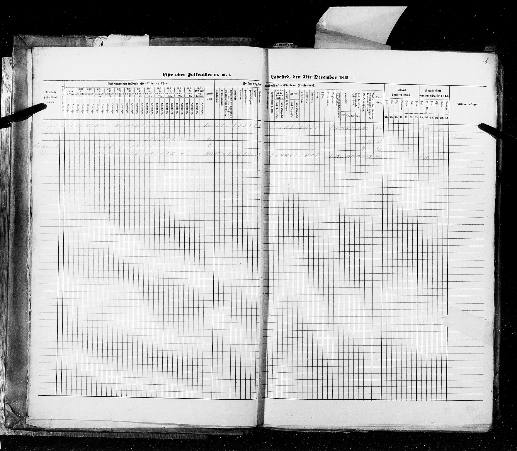 RA, Census 1845, vol. 10: Cities, 1845, p. 5