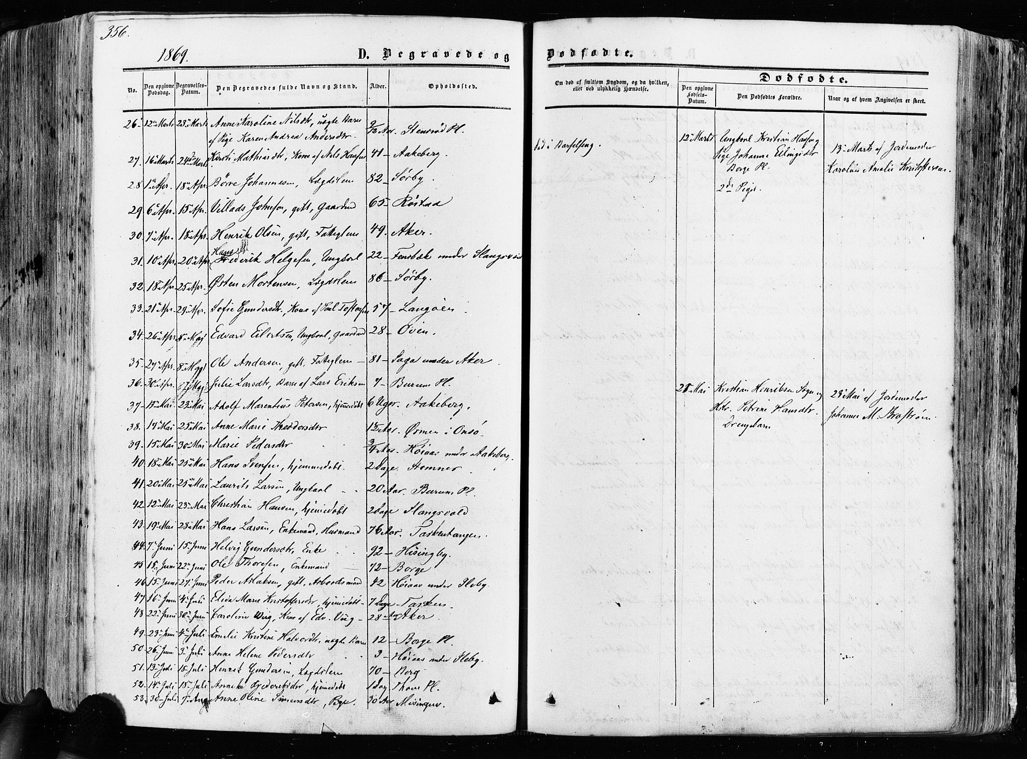 Råde prestekontor kirkebøker, AV/SAO-A-2009/F/Fa/L0006: Parish register (official) no. 6, 1854-1877, p. 356