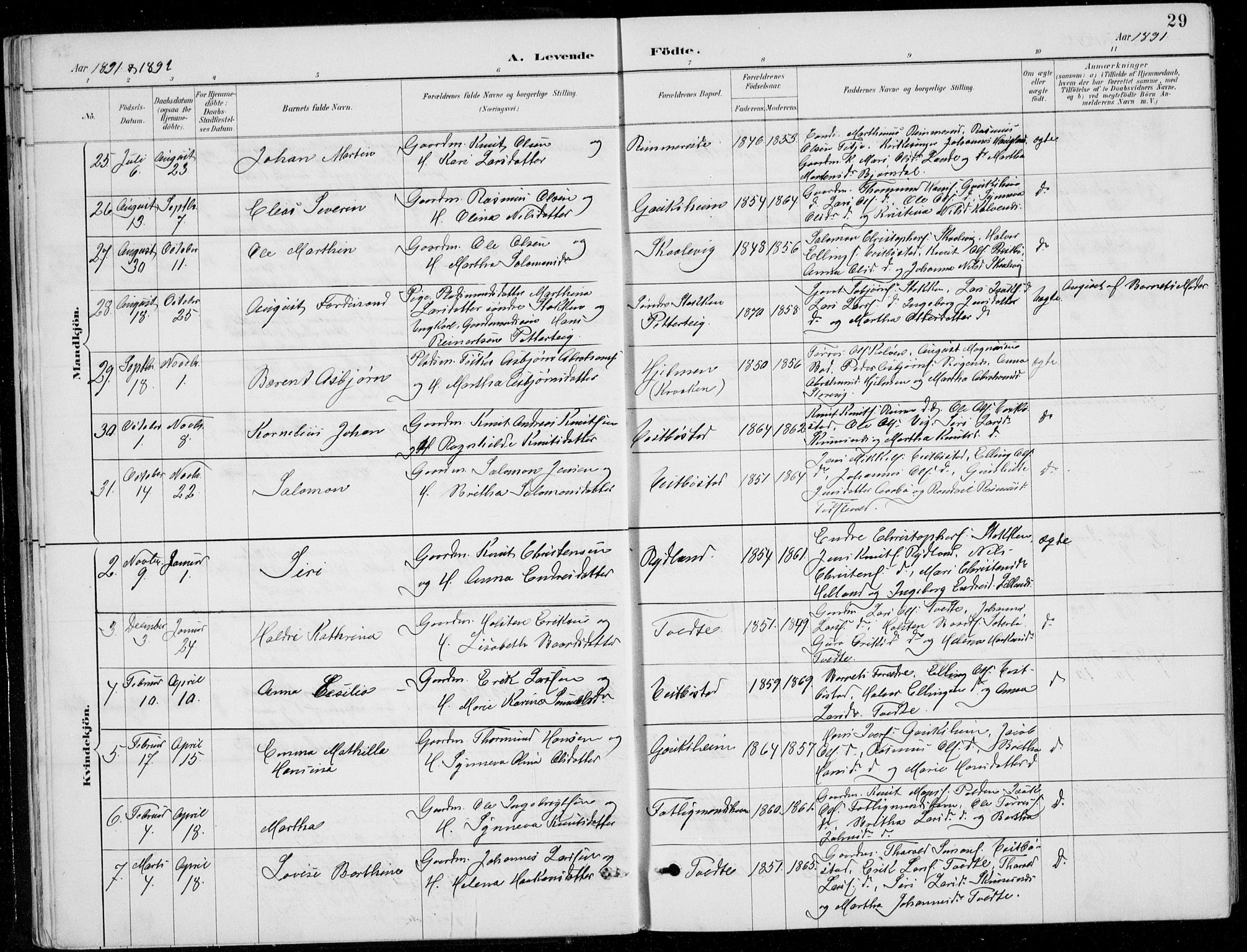 Fitjar sokneprestembete, AV/SAB-A-99926: Parish register (copy) no. A 2, 1887-1906, p. 29