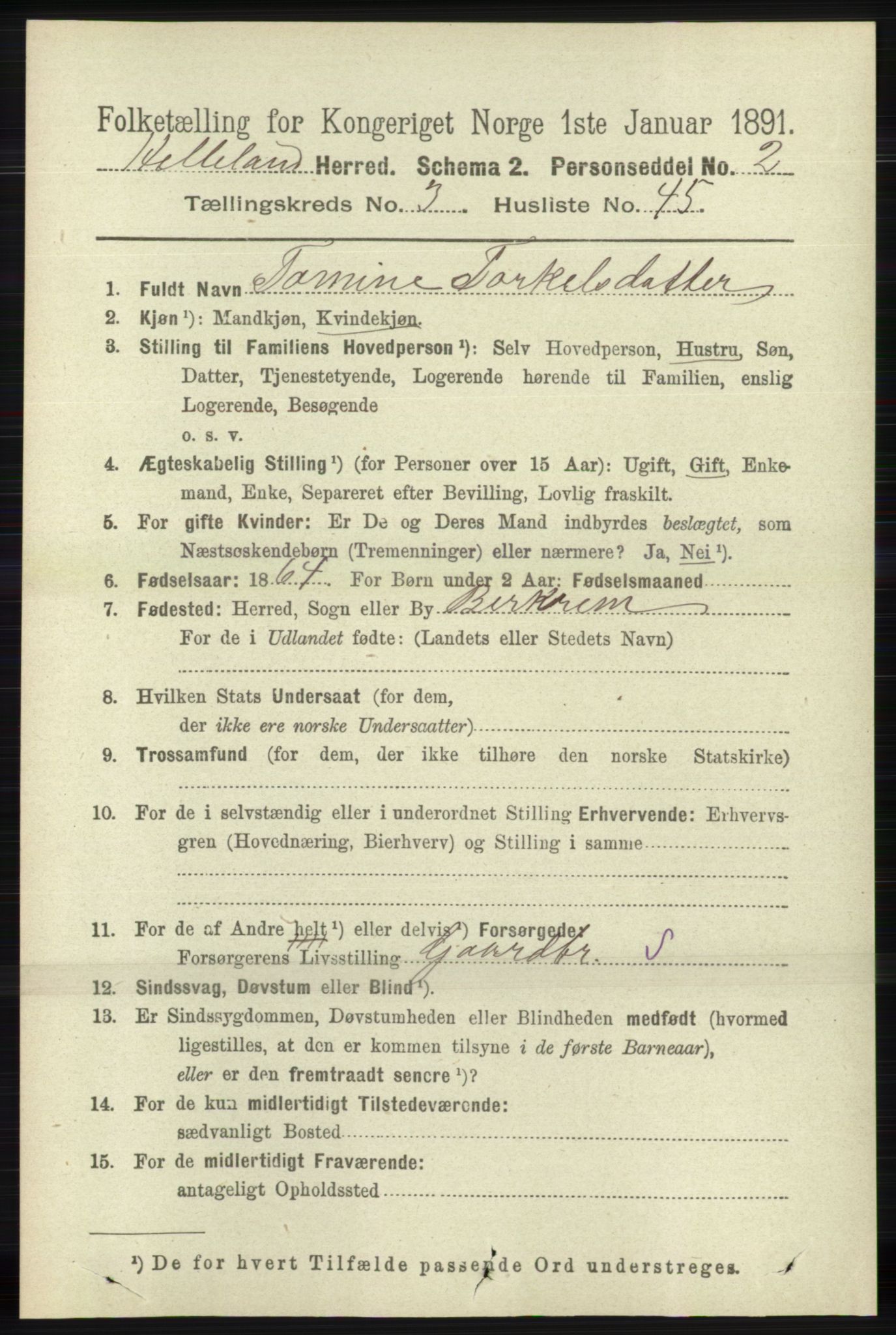 RA, 1891 census for 1115 Helleland, 1891, p. 1091