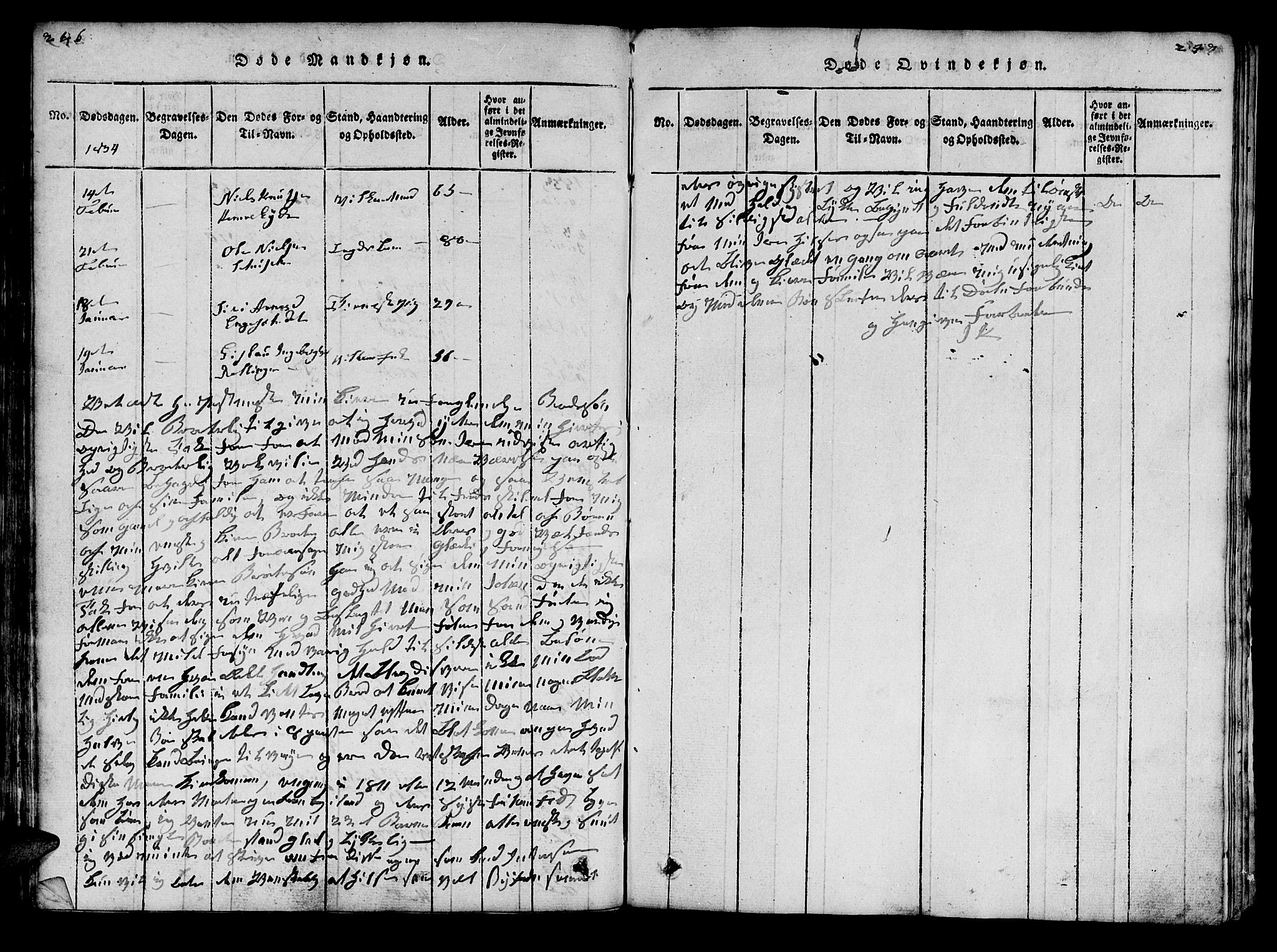 Ministerialprotokoller, klokkerbøker og fødselsregistre - Møre og Romsdal, SAT/A-1454/519/L0246: Parish register (official) no. 519A05, 1817-1834, p. 246-247