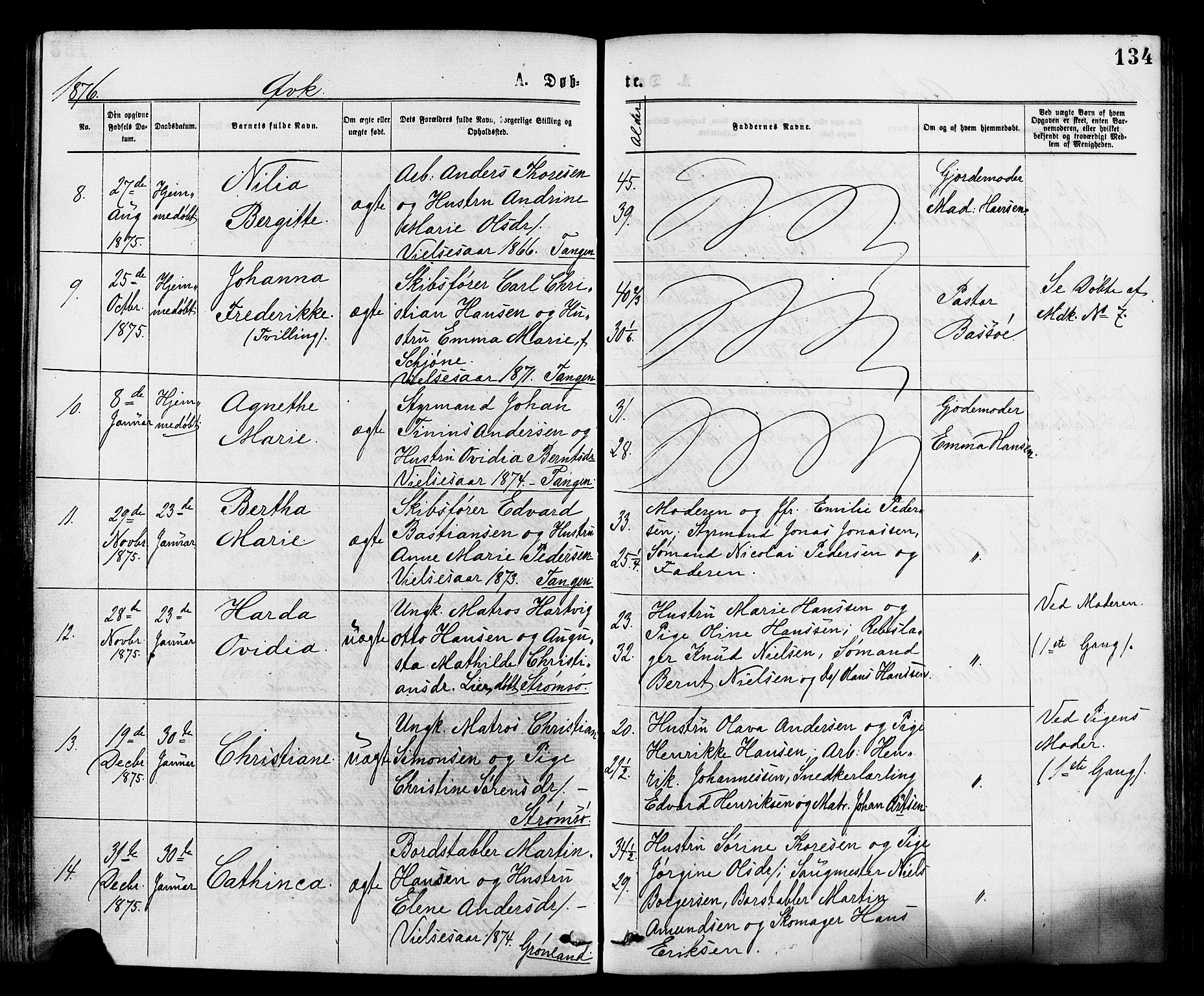 Strømsø kirkebøker, AV/SAKO-A-246/F/Fa/L0019: Parish register (official) no. I 19, 1874-1877, p. 134