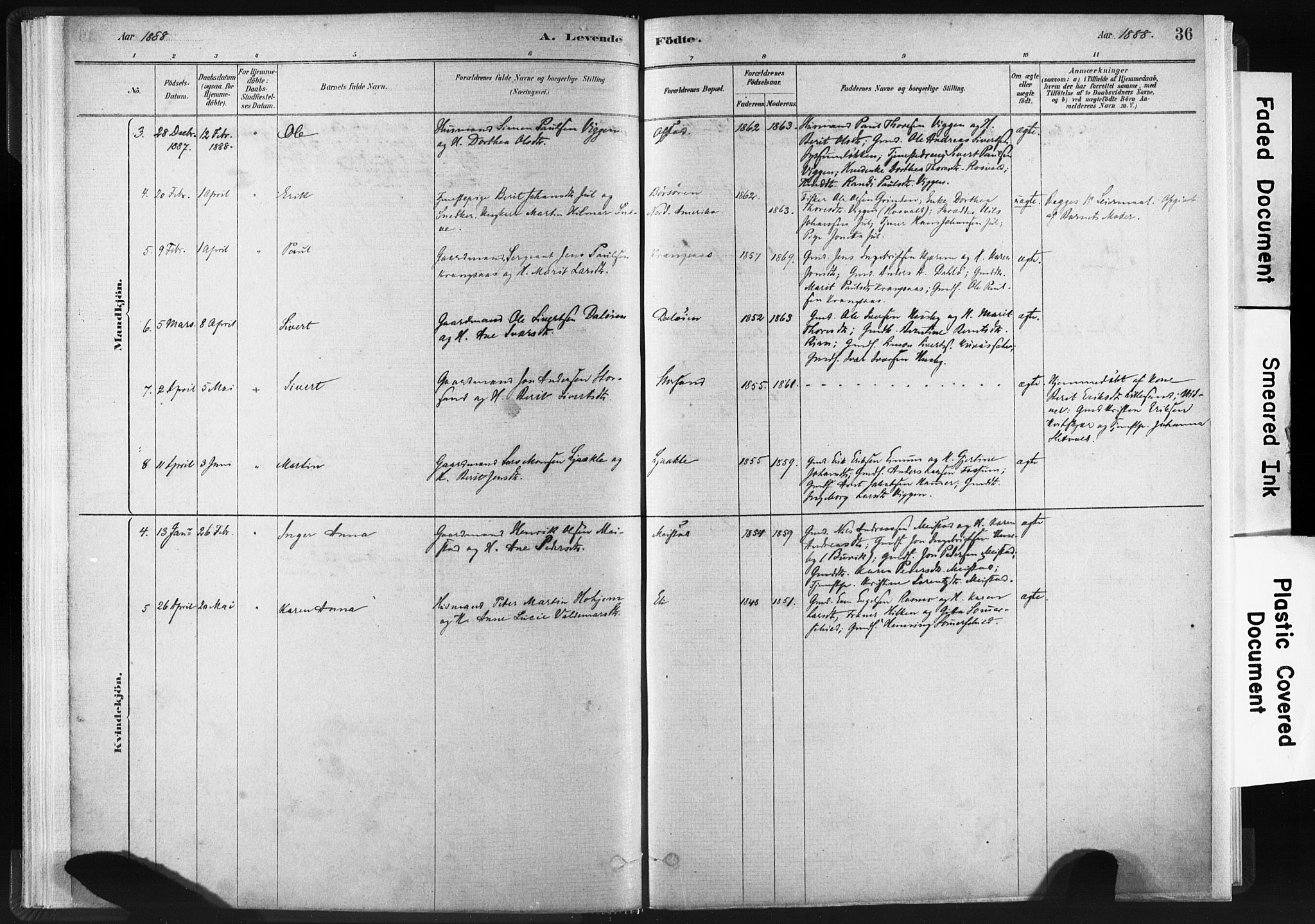 Ministerialprotokoller, klokkerbøker og fødselsregistre - Sør-Trøndelag, SAT/A-1456/665/L0773: Parish register (official) no. 665A08, 1879-1905, p. 36