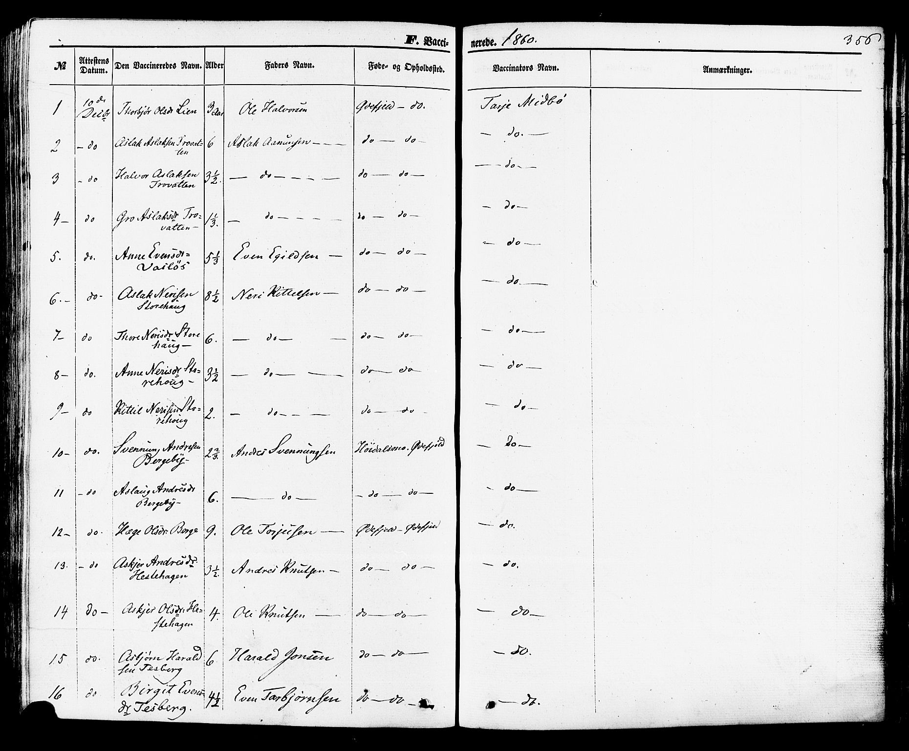 Rauland kirkebøker, AV/SAKO-A-292/F/Fa/L0003: Parish register (official) no. I 3, 1859-1886, p. 356