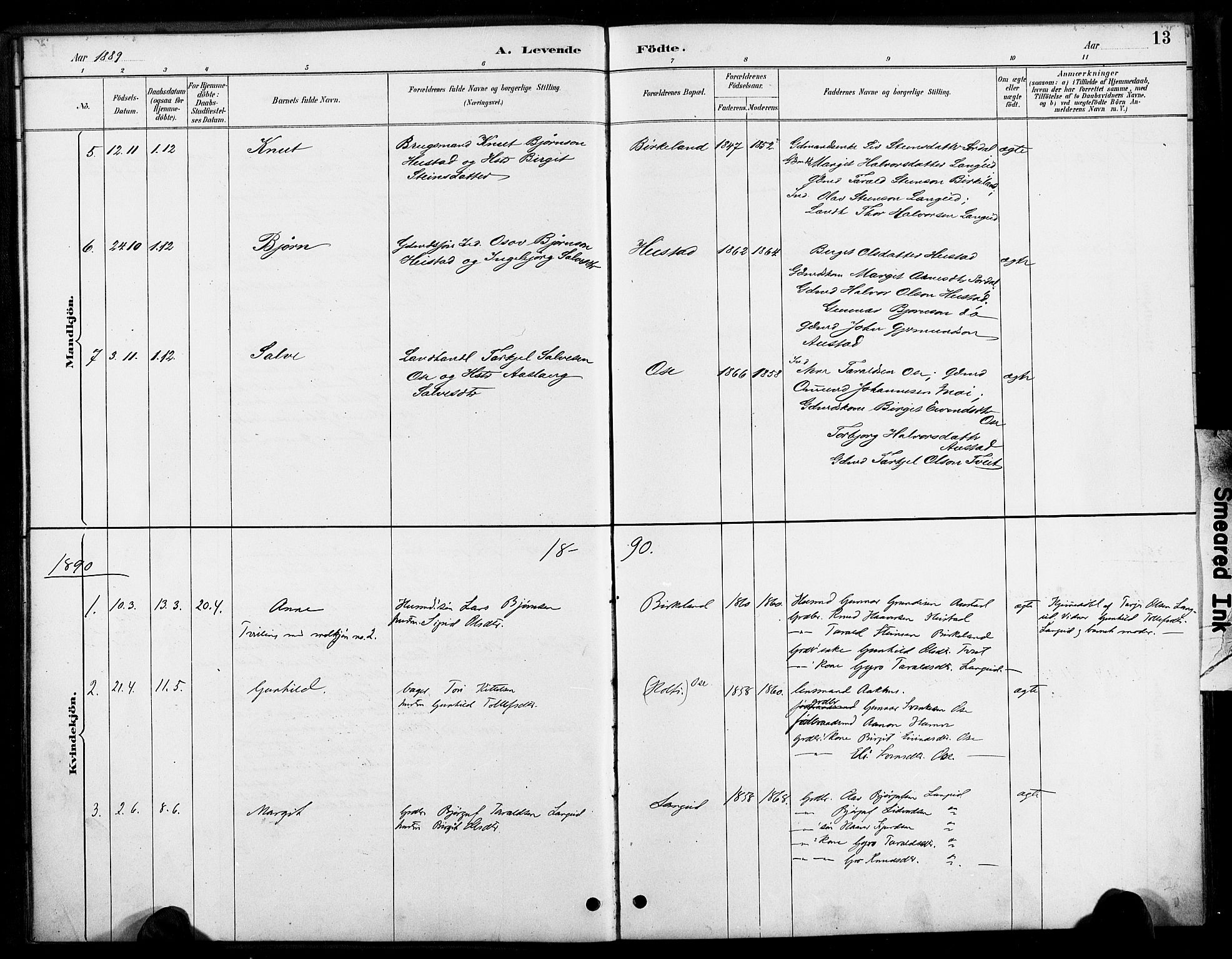 Bygland sokneprestkontor, SAK/1111-0006/F/Fa/Faa/L0001: Parish register (official) no. A 1, 1885-1908, p. 13