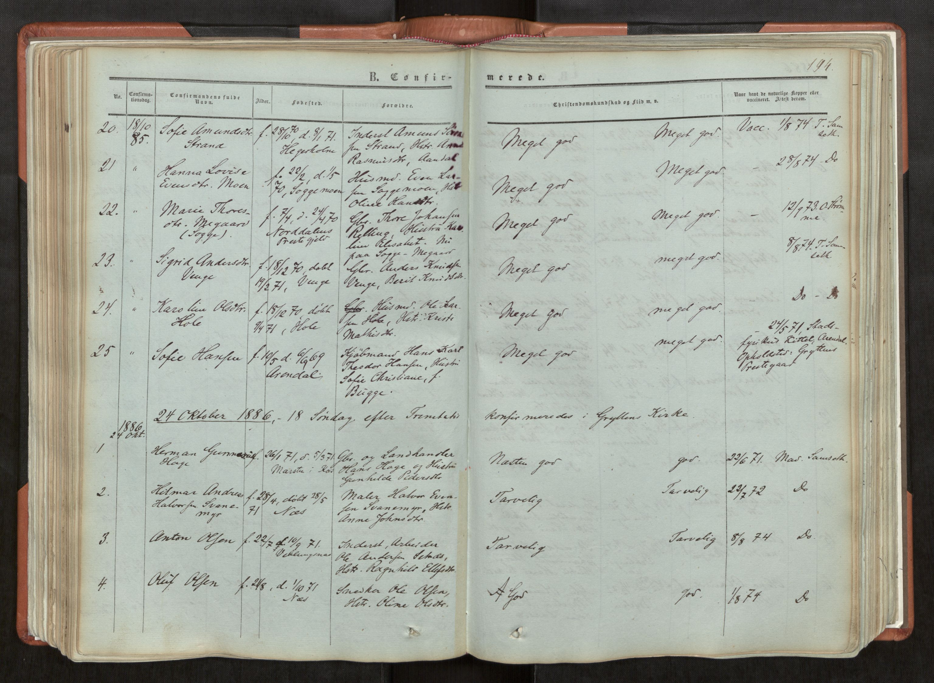 Ministerialprotokoller, klokkerbøker og fødselsregistre - Møre og Romsdal, AV/SAT-A-1454/544/L0572: Parish register (official) no. 544A05, 1854-1886, p. 194