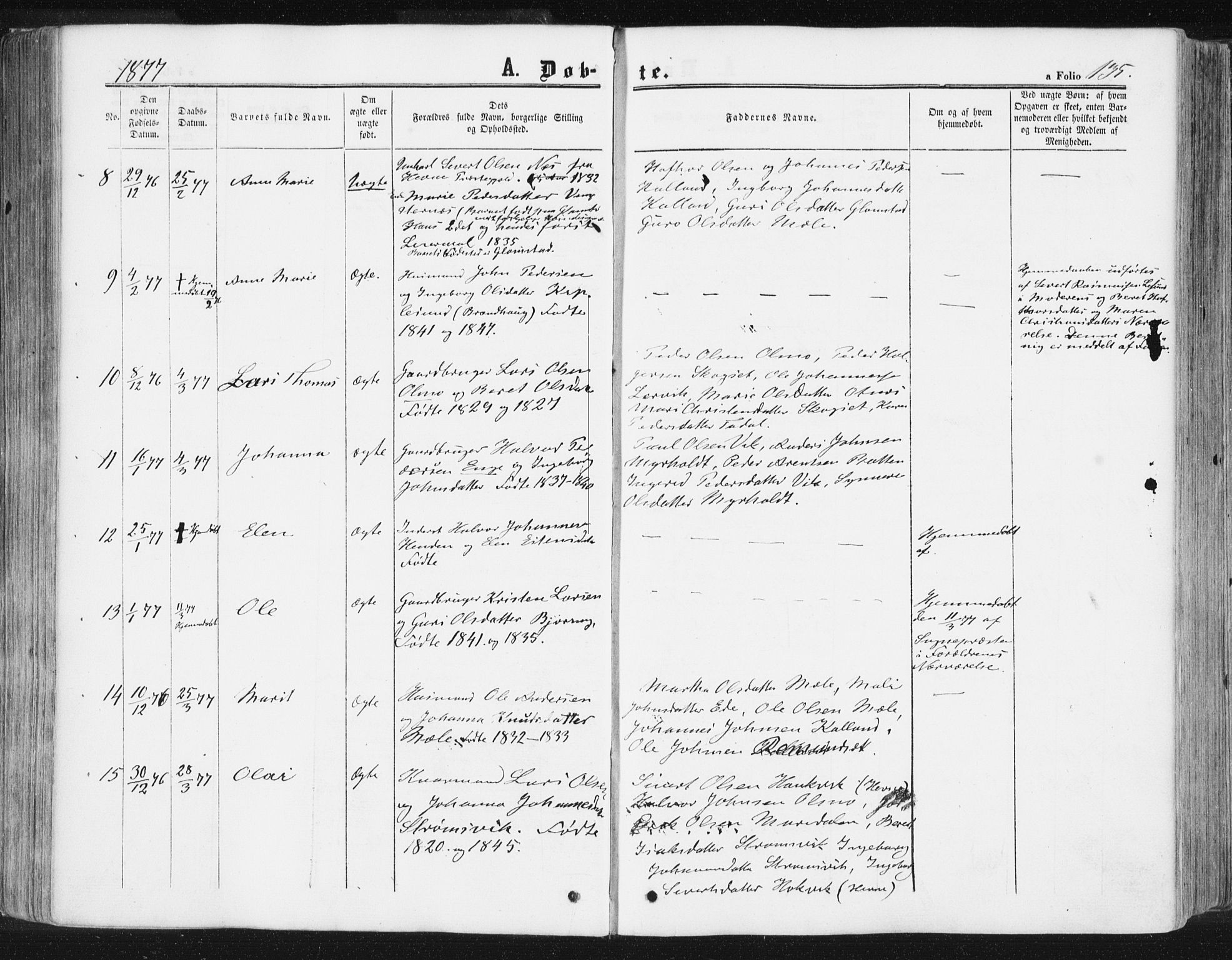 Ministerialprotokoller, klokkerbøker og fødselsregistre - Møre og Romsdal, AV/SAT-A-1454/578/L0905: Parish register (official) no. 578A04, 1859-1877, p. 135