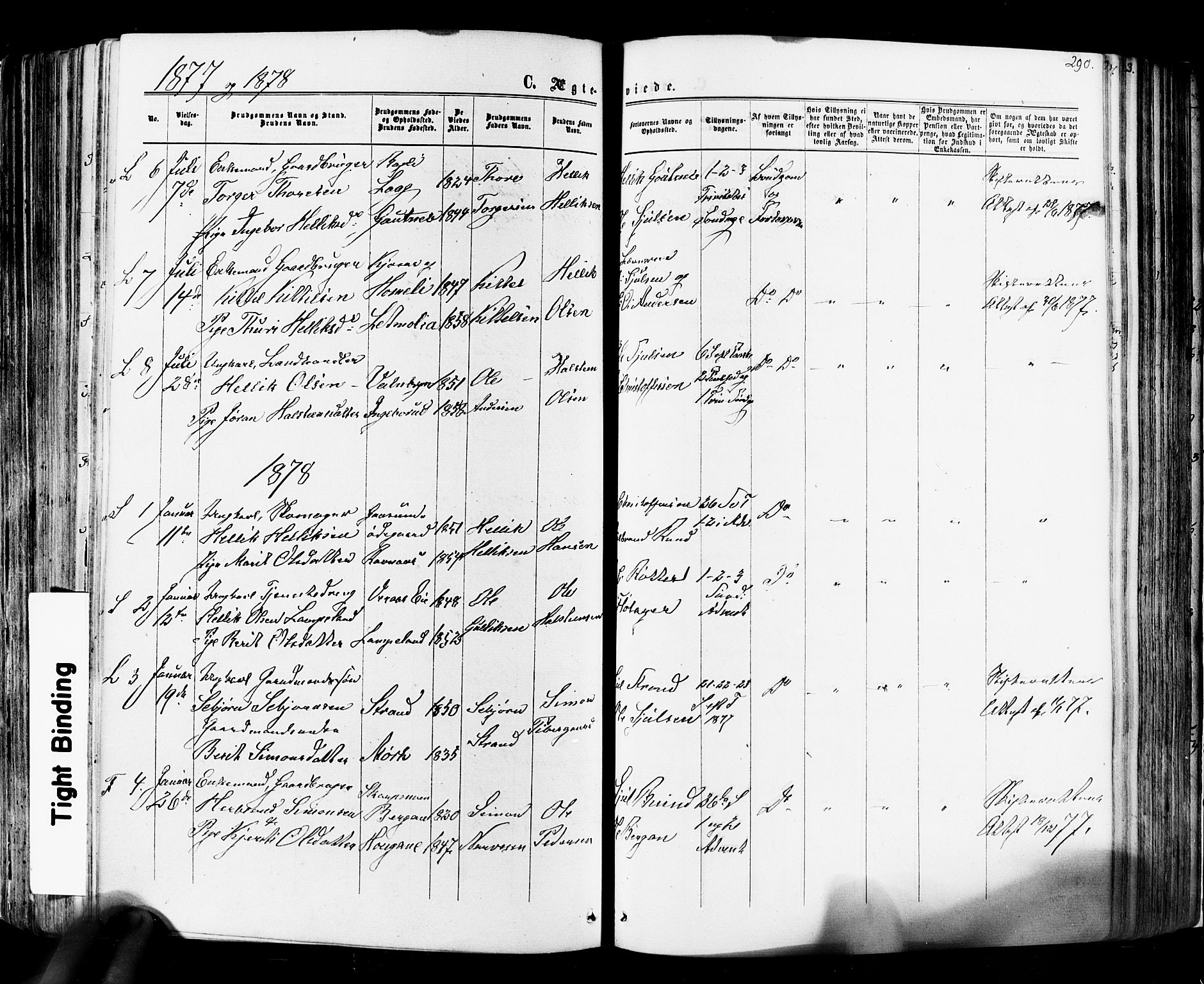 Flesberg kirkebøker, SAKO/A-18/F/Fa/L0007: Parish register (official) no. I 7, 1861-1878, p. 290