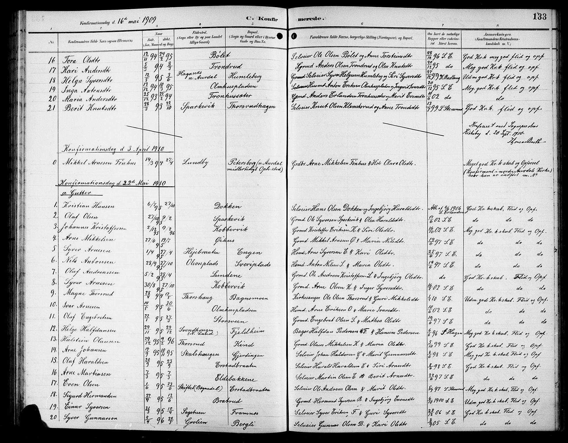 Sør-Aurdal prestekontor, AV/SAH-PREST-128/H/Ha/Hab/L0009: Parish register (copy) no. 9, 1894-1924, p. 133