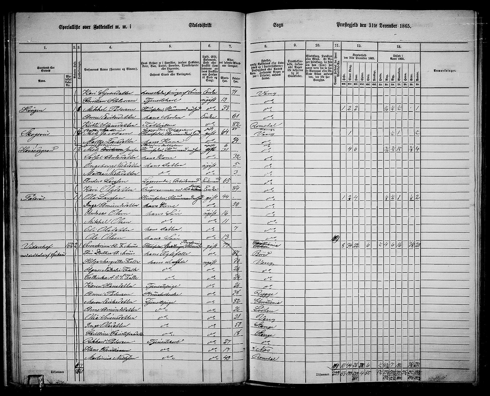 RA, 1865 census for Vang/Vang og Furnes, 1865, p. 186