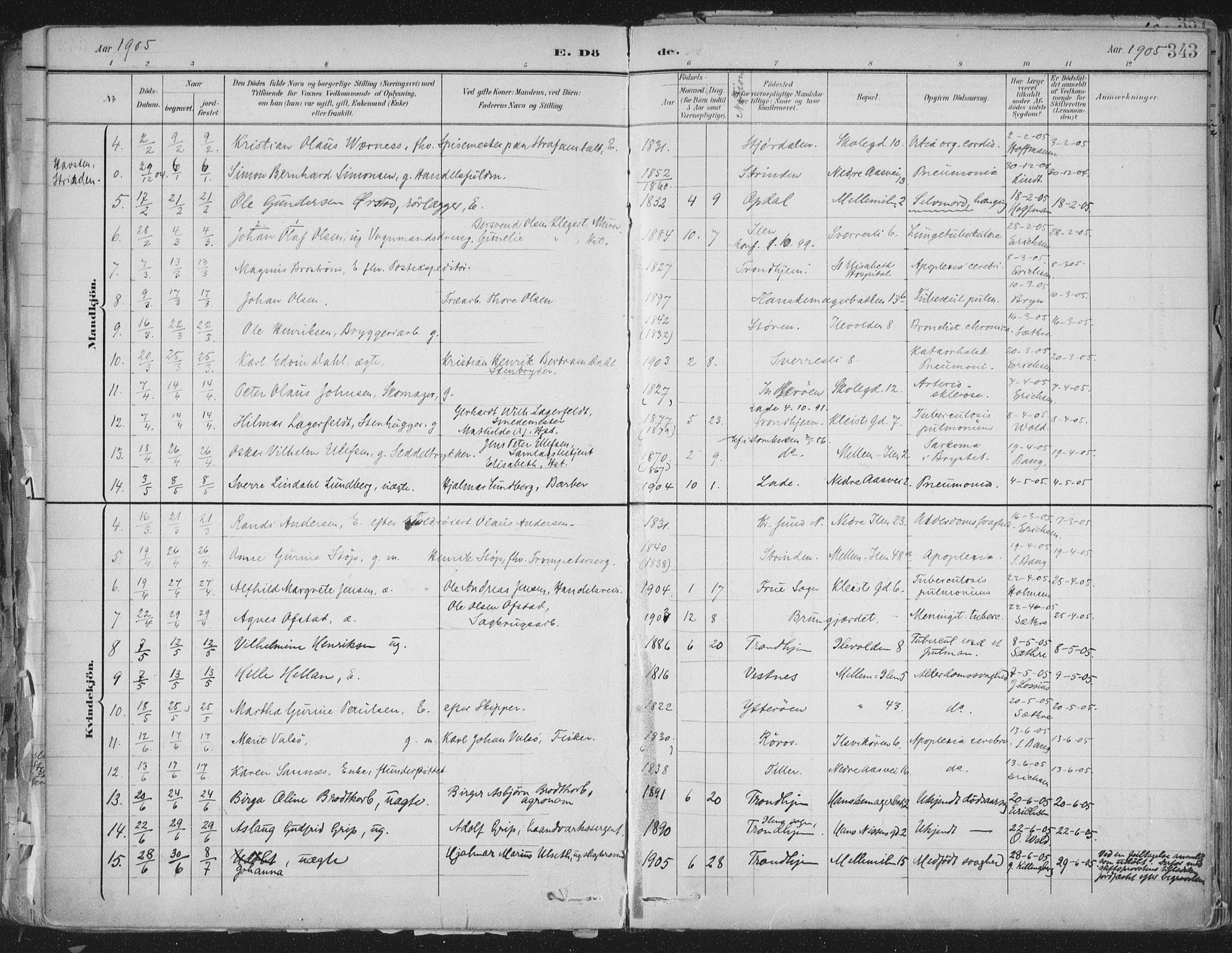 Ministerialprotokoller, klokkerbøker og fødselsregistre - Sør-Trøndelag, AV/SAT-A-1456/603/L0167: Parish register (official) no. 603A06, 1896-1932, p. 343