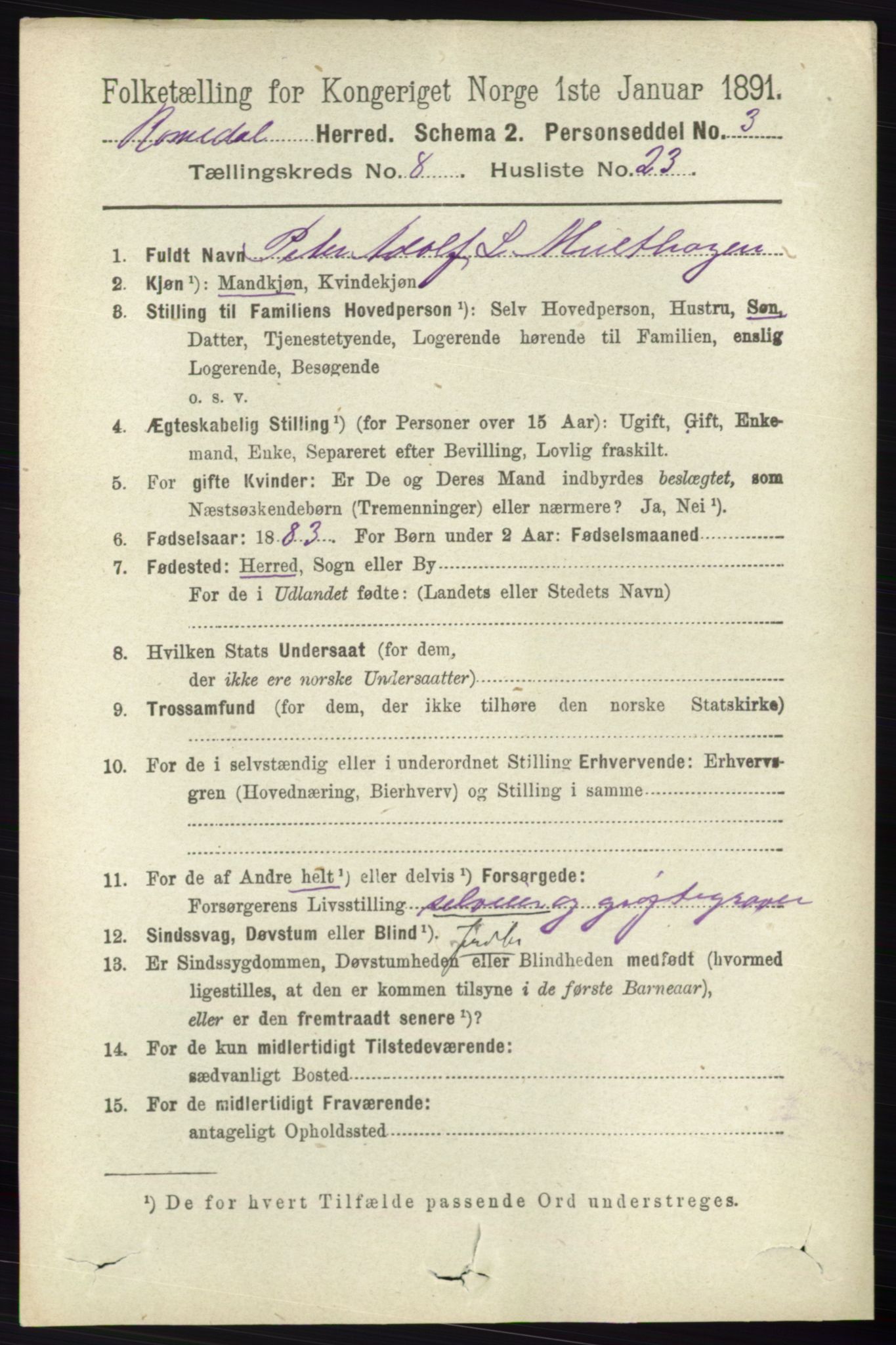 RA, 1891 census for 0416 Romedal, 1891, p. 4101