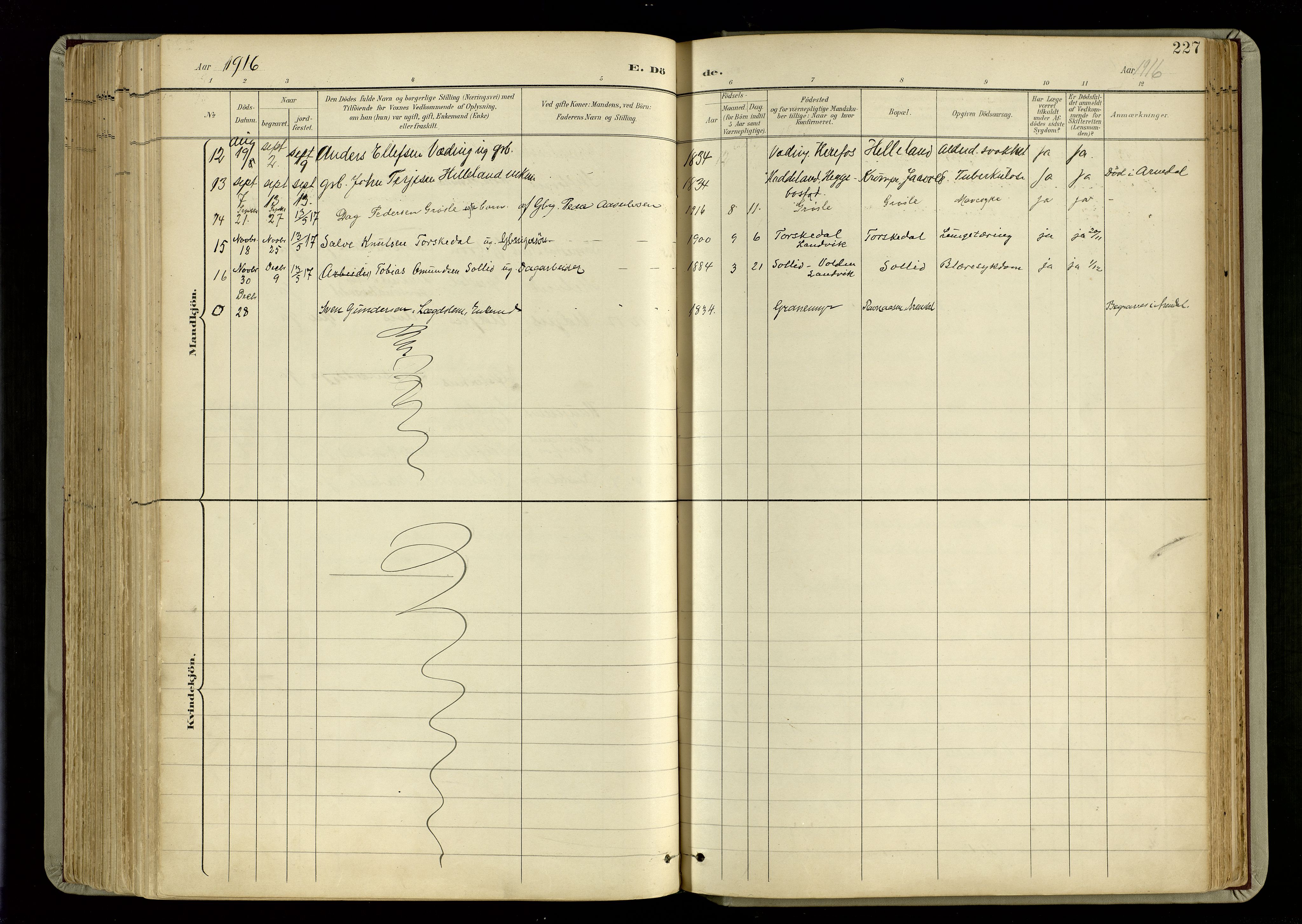 Hommedal sokneprestkontor, SAK/1111-0023/F/Fa/Fab/L0007: Parish register (official) no. A 7, 1898-1924, p. 227
