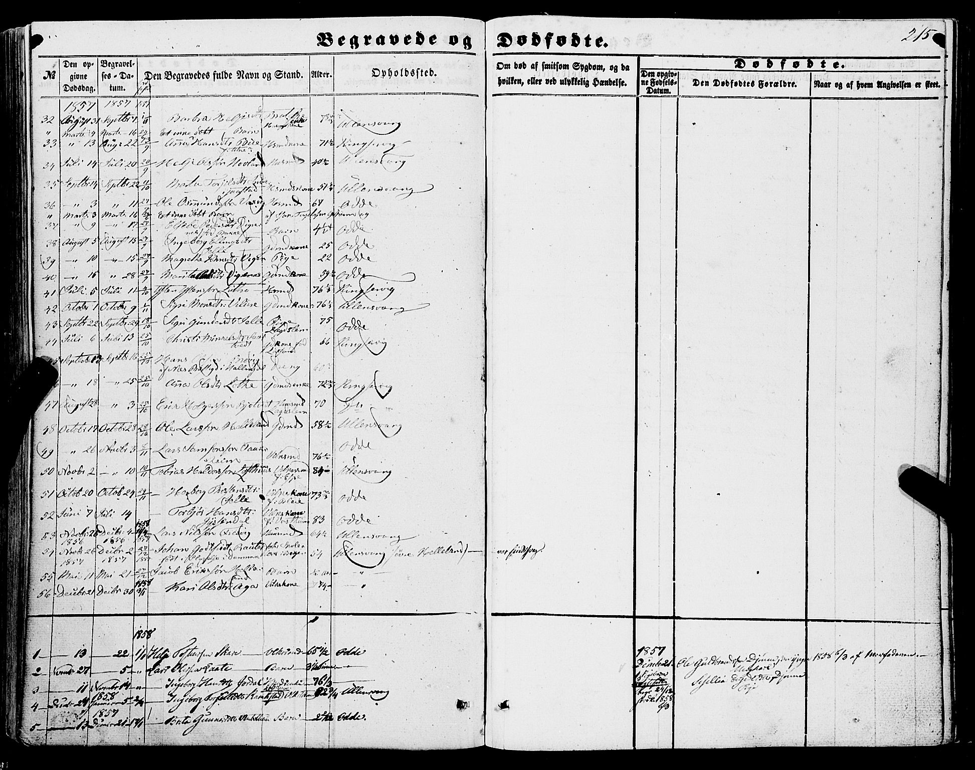 Ullensvang sokneprestembete, SAB/A-78701/H/Haa: Parish register (official) no. A 11, 1854-1866, p. 215
