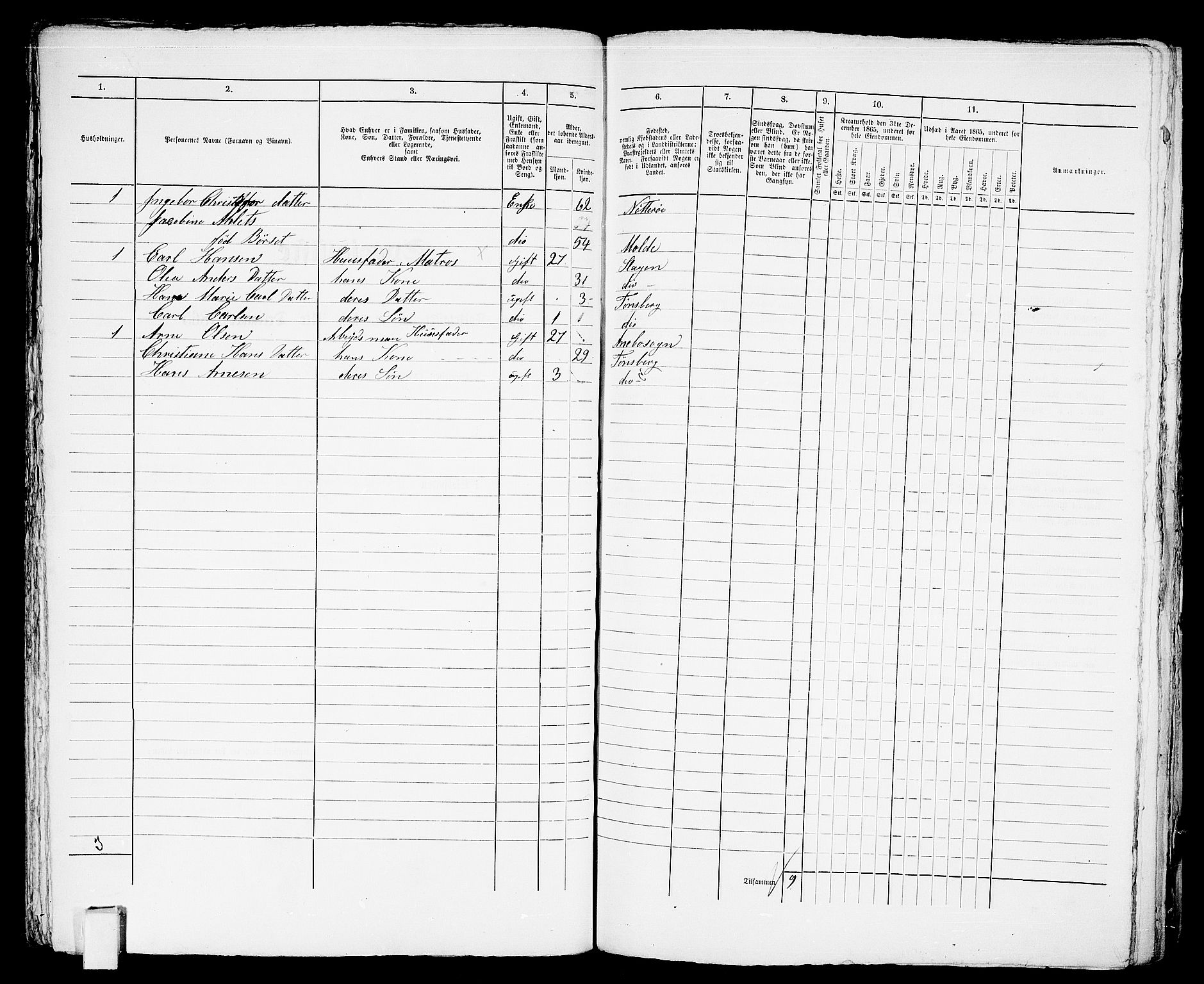 RA, 1865 census for Tønsberg, 1865, p. 517