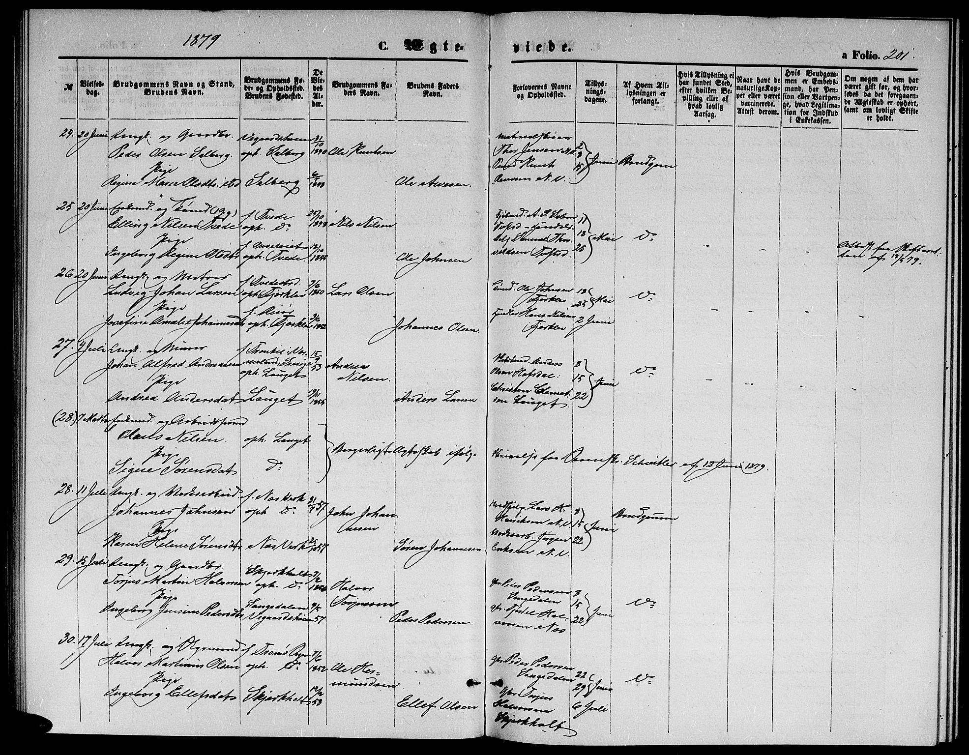 Holt sokneprestkontor, AV/SAK-1111-0021/F/Fb/L0009: Parish register (copy) no. B 9, 1871-1883, p. 201