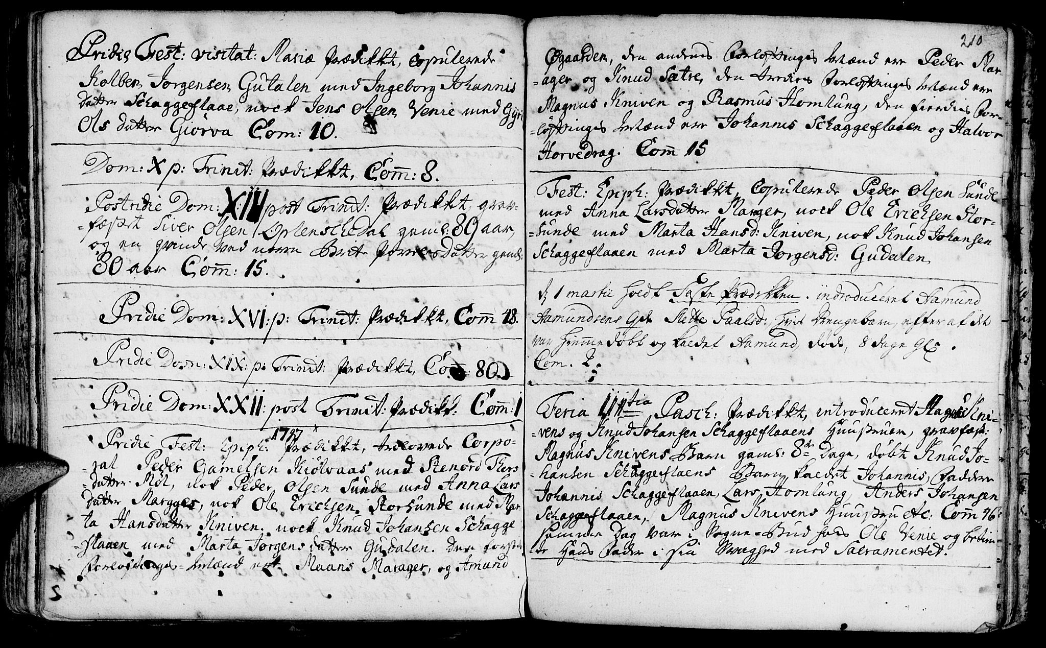 Ministerialprotokoller, klokkerbøker og fødselsregistre - Møre og Romsdal, SAT/A-1454/519/L0242: Parish register (official) no. 519A01 /3, 1736-1761, p. 210