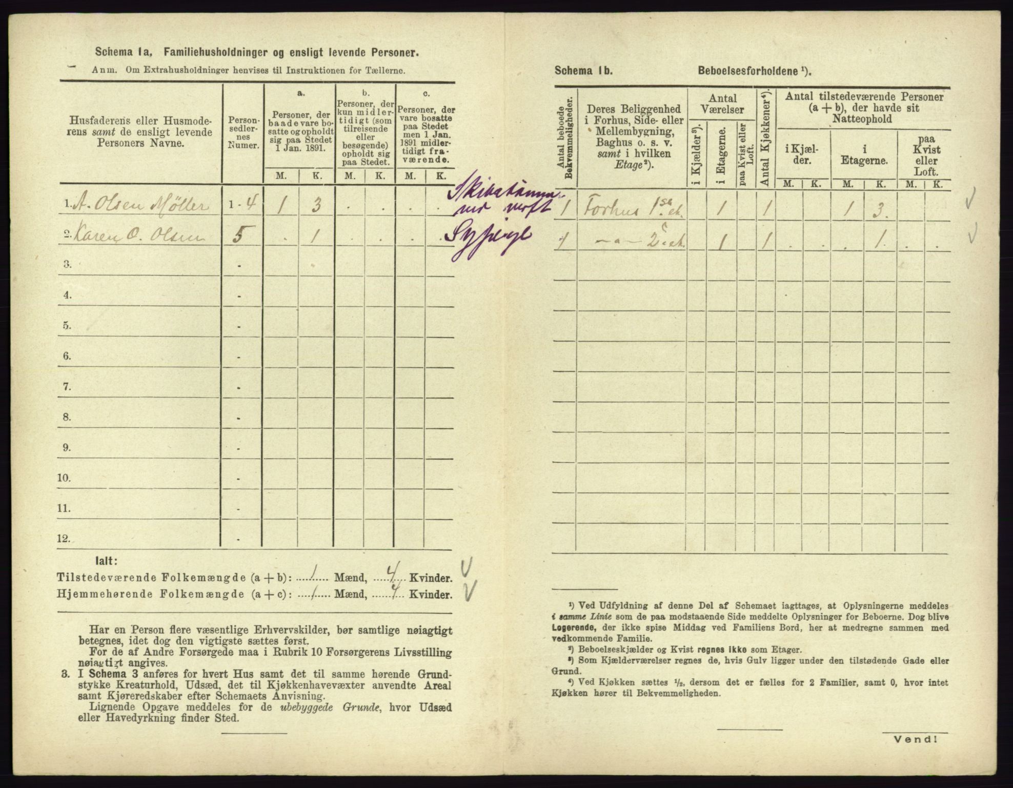 RA, 1891 census for 0702 Holmestrand, 1891, p. 319